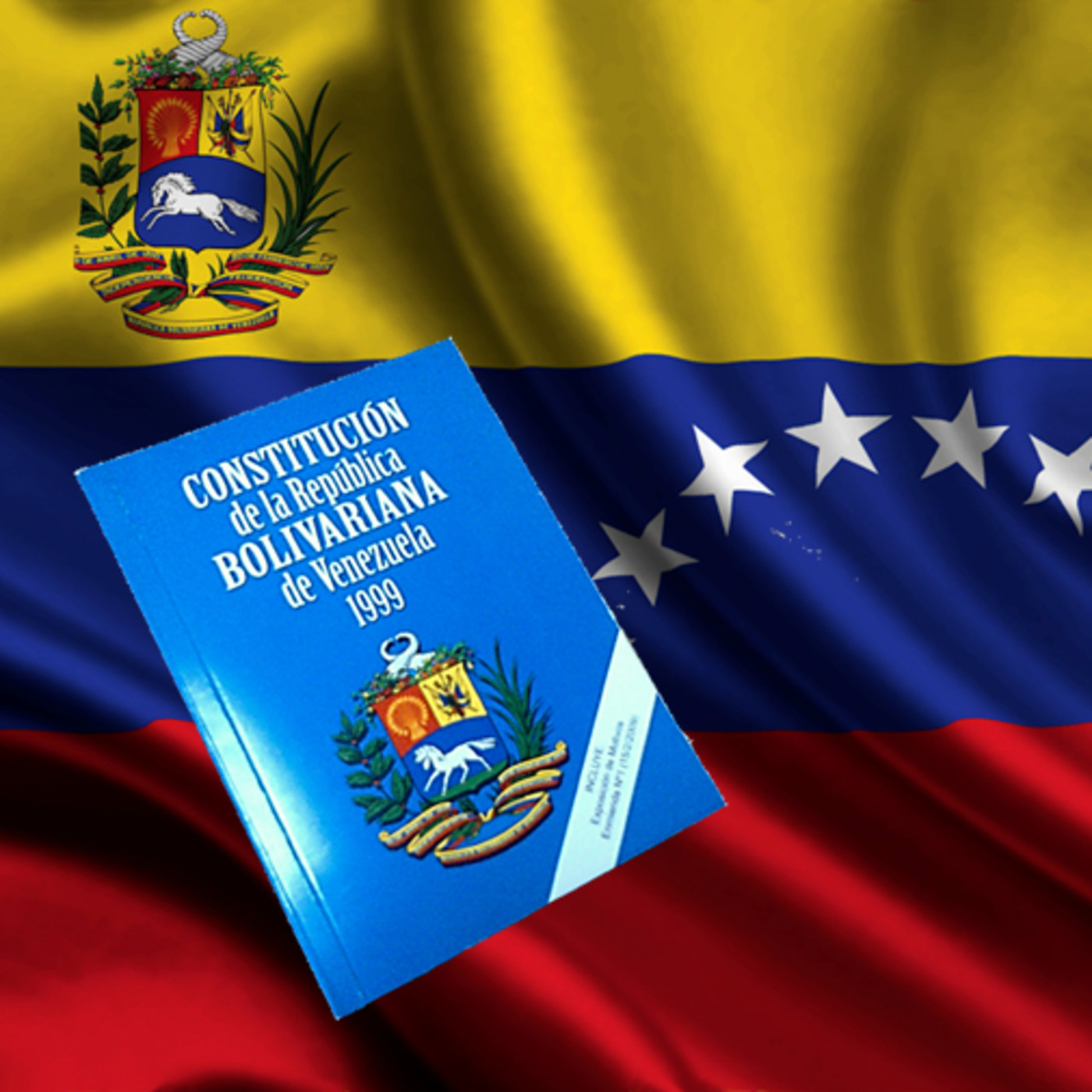 Micro - Conoce la Constitución de Venezuela - Artículo 323
