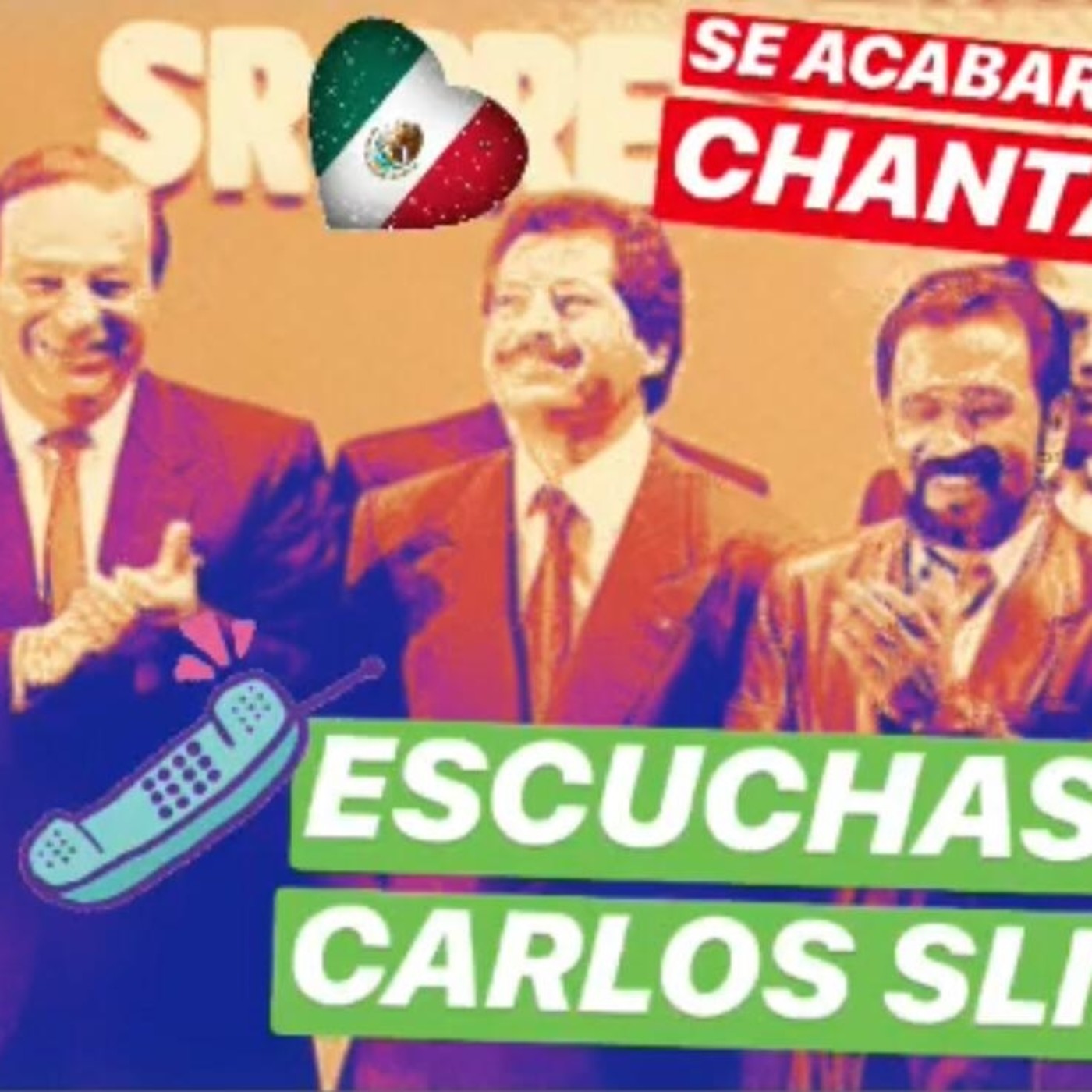 Me Canso Ganso MX