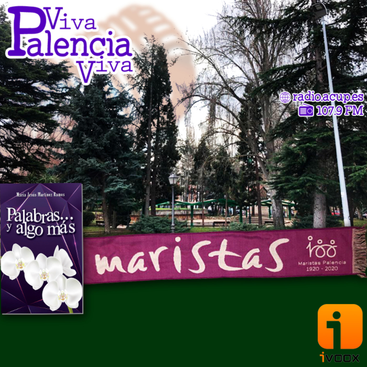 Viva Palencia Viva