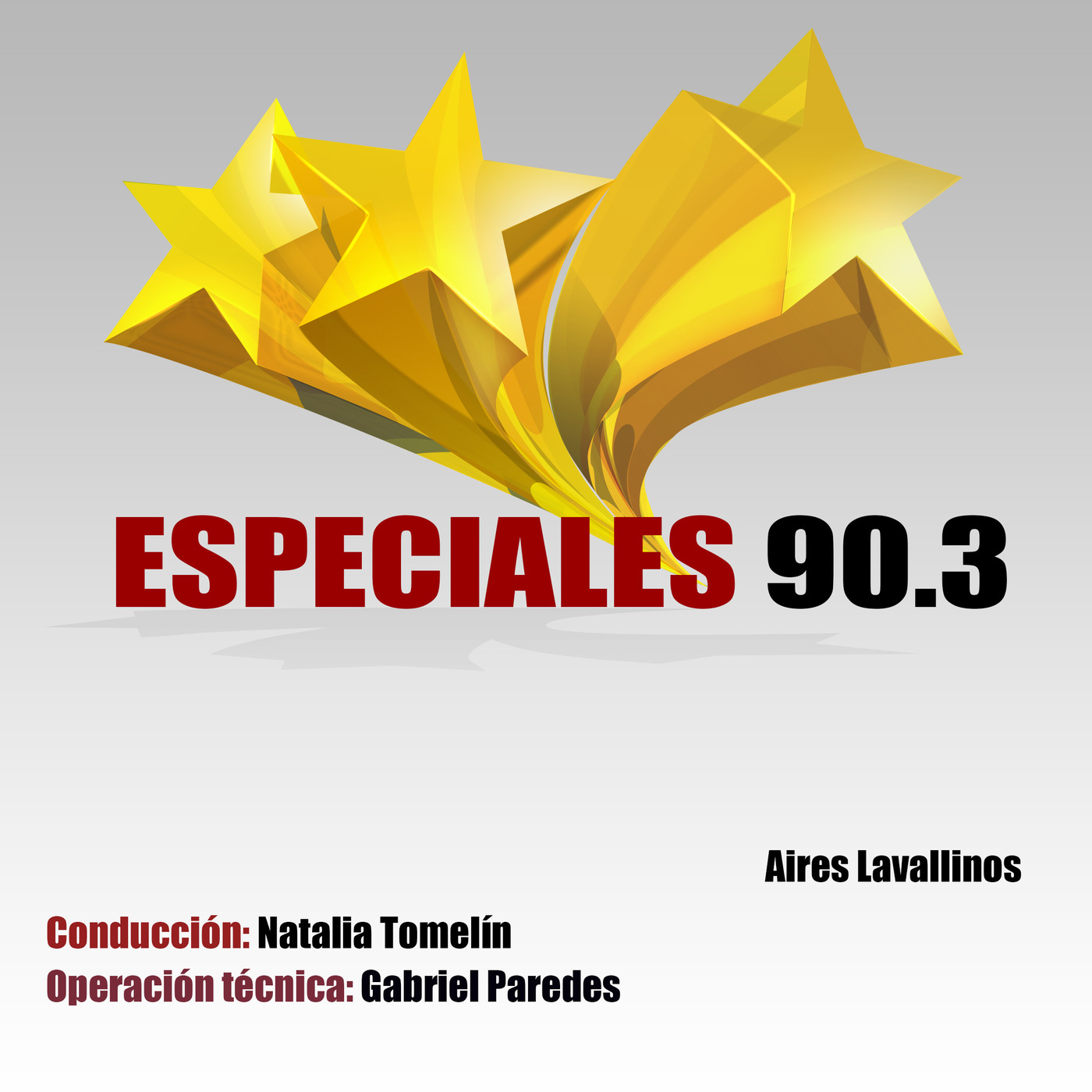 Programas Fm Aires Lavallinos 2020