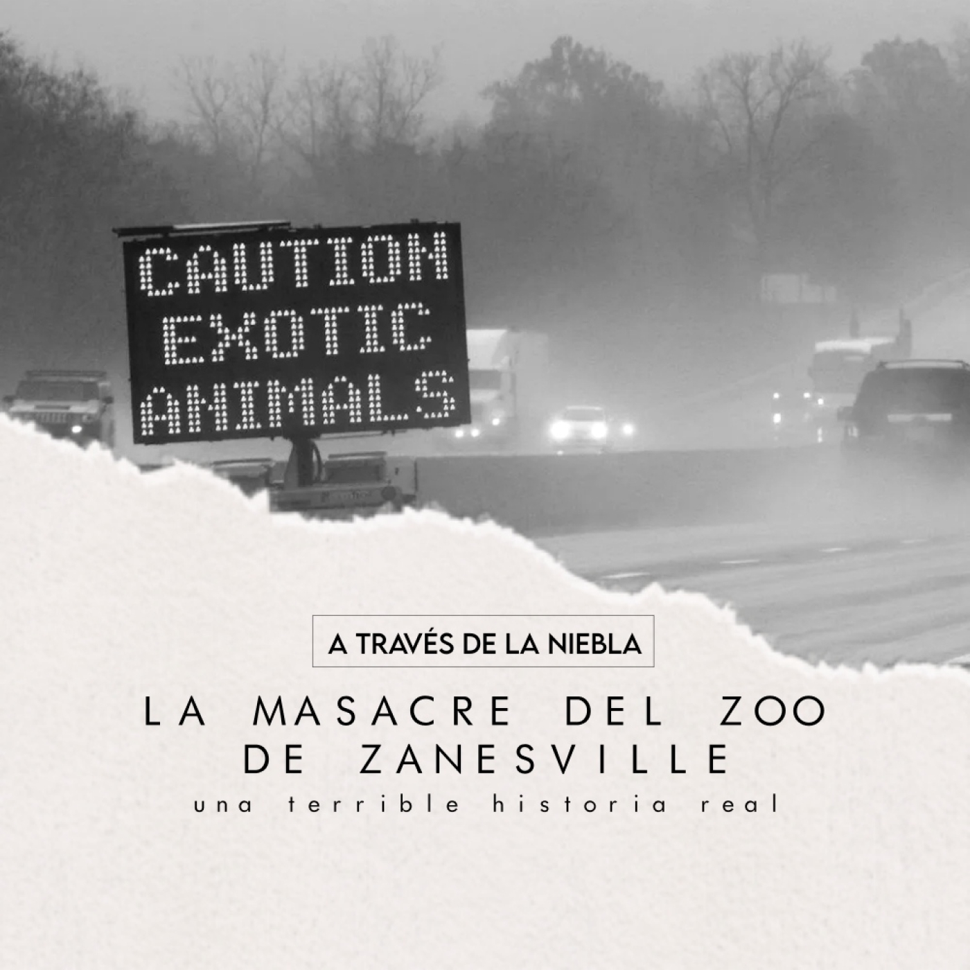 A Través de la Niebla