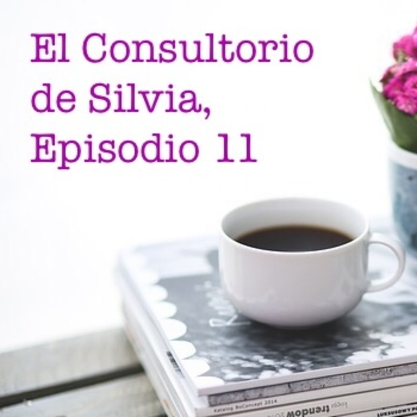 El Consultorio de Silvia