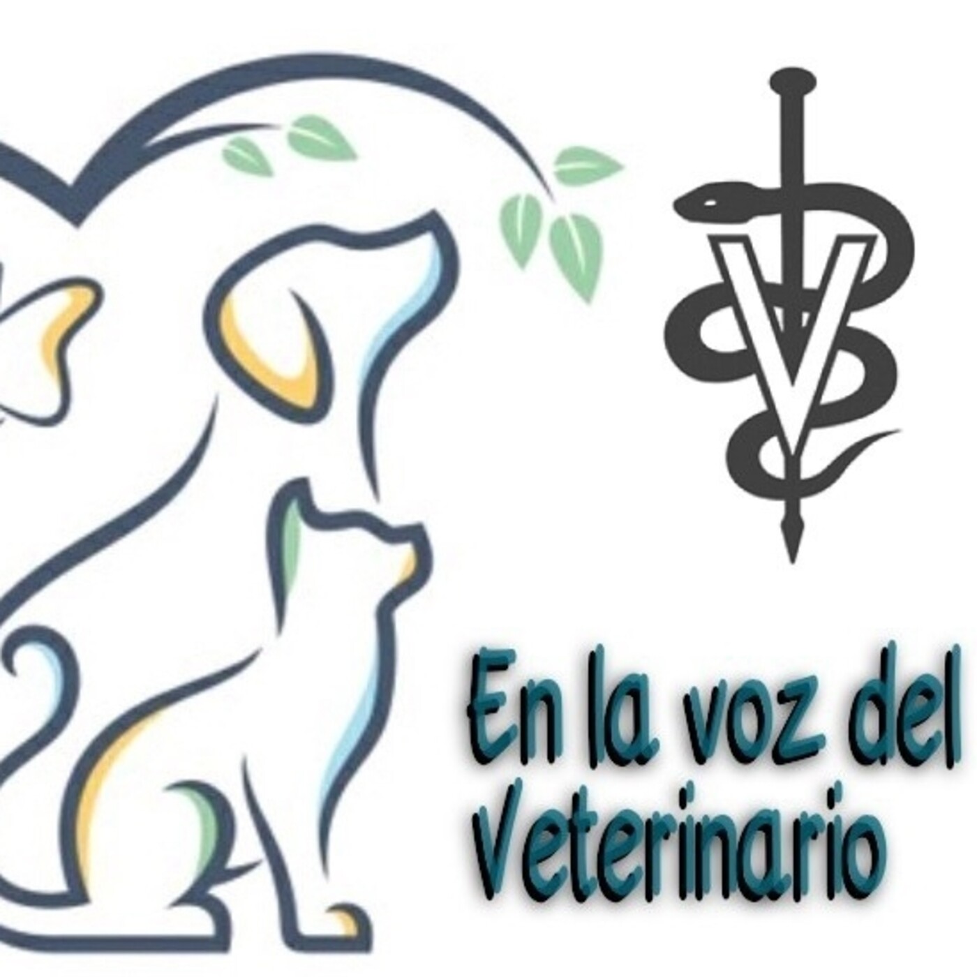 En la Voz del Veterinario 290621 p144 episode artwork