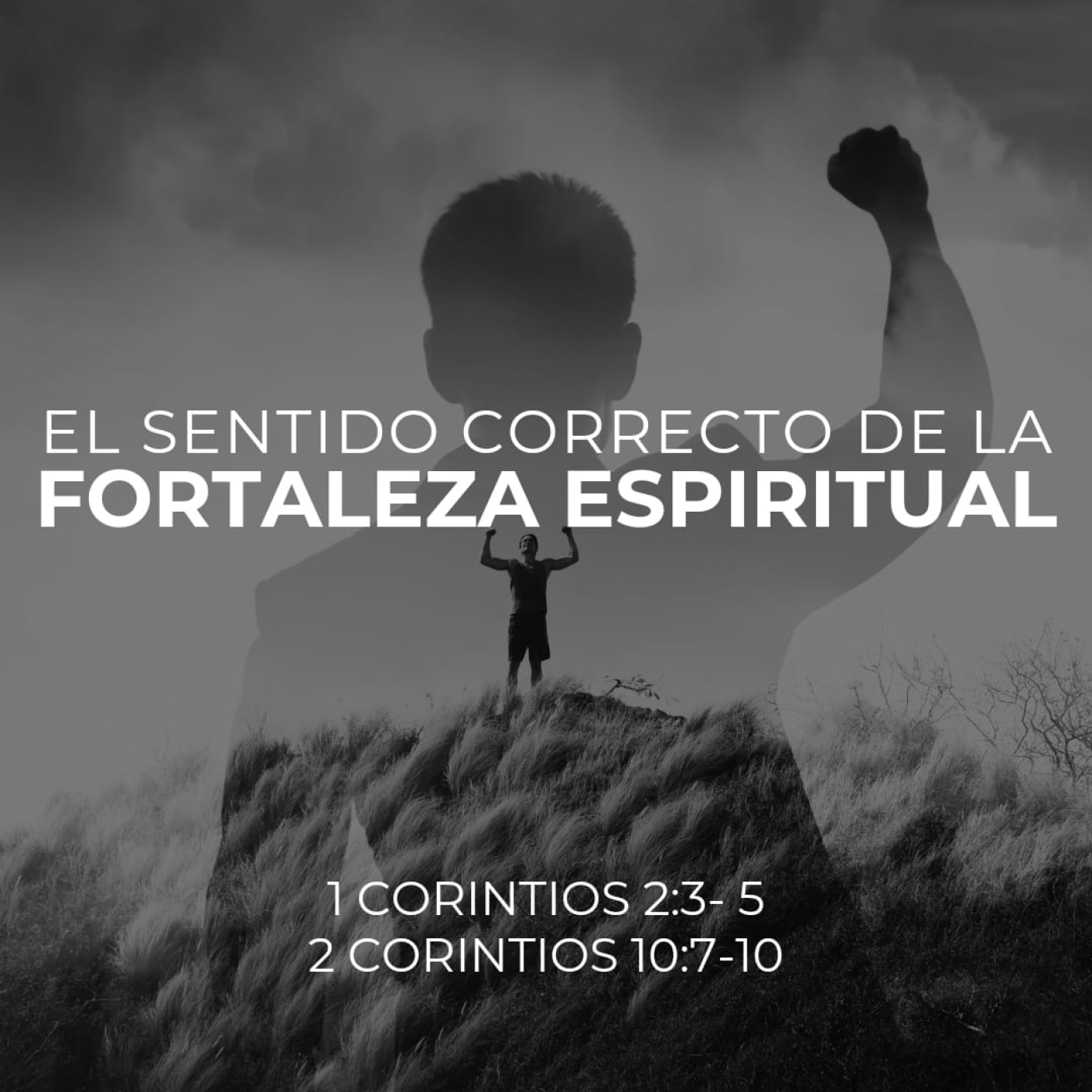 Prédicas