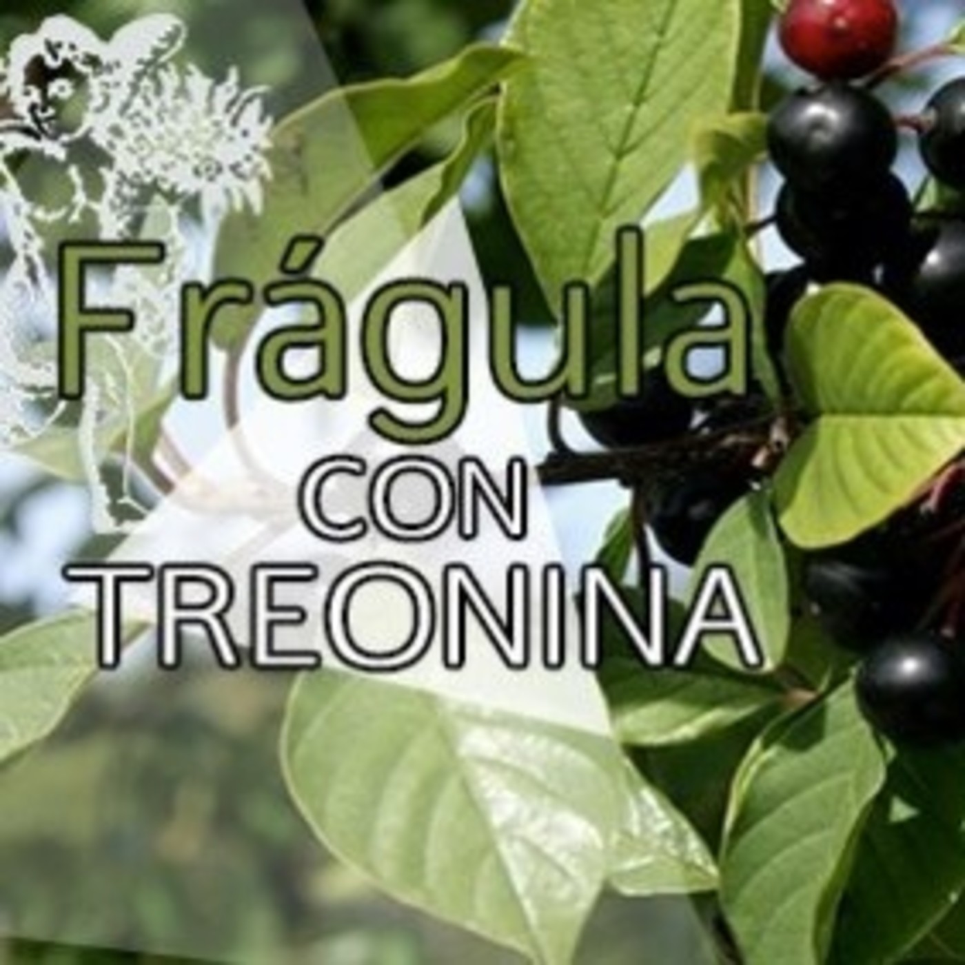 El Ángel de tu Salud - FRÁNGULA CON TREONINA episode artwork