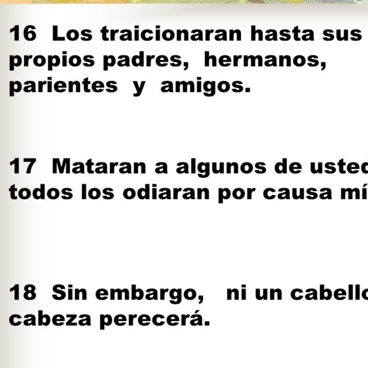 Lecturas del día