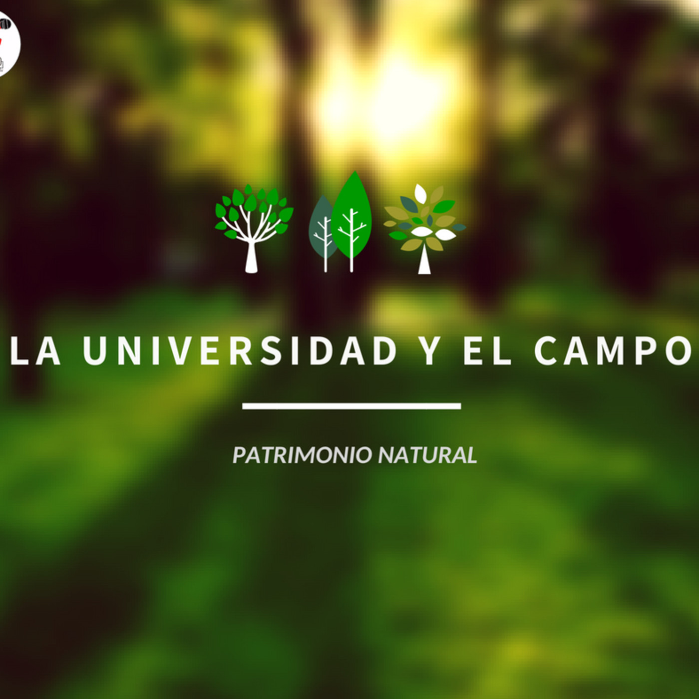 La Universidad Y el Campo