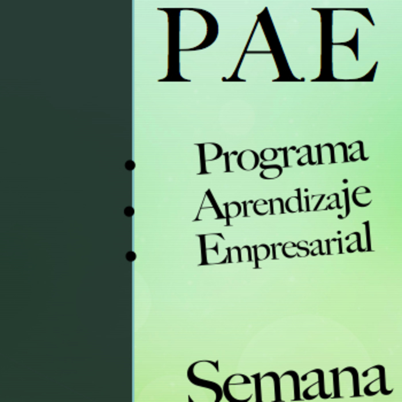 PROGRAMA DE APRENDIZAJE EMPRESARIAL - P.A.E