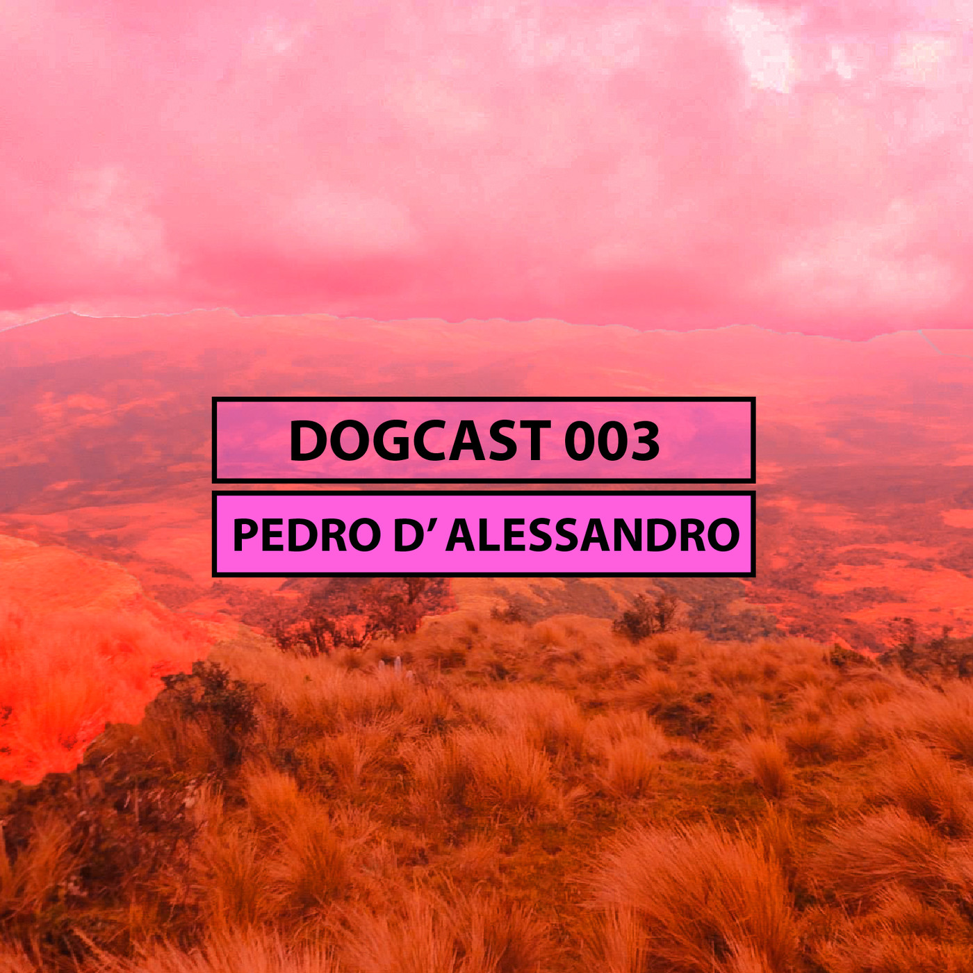 Mundo Perro Dogcasts Sessions
