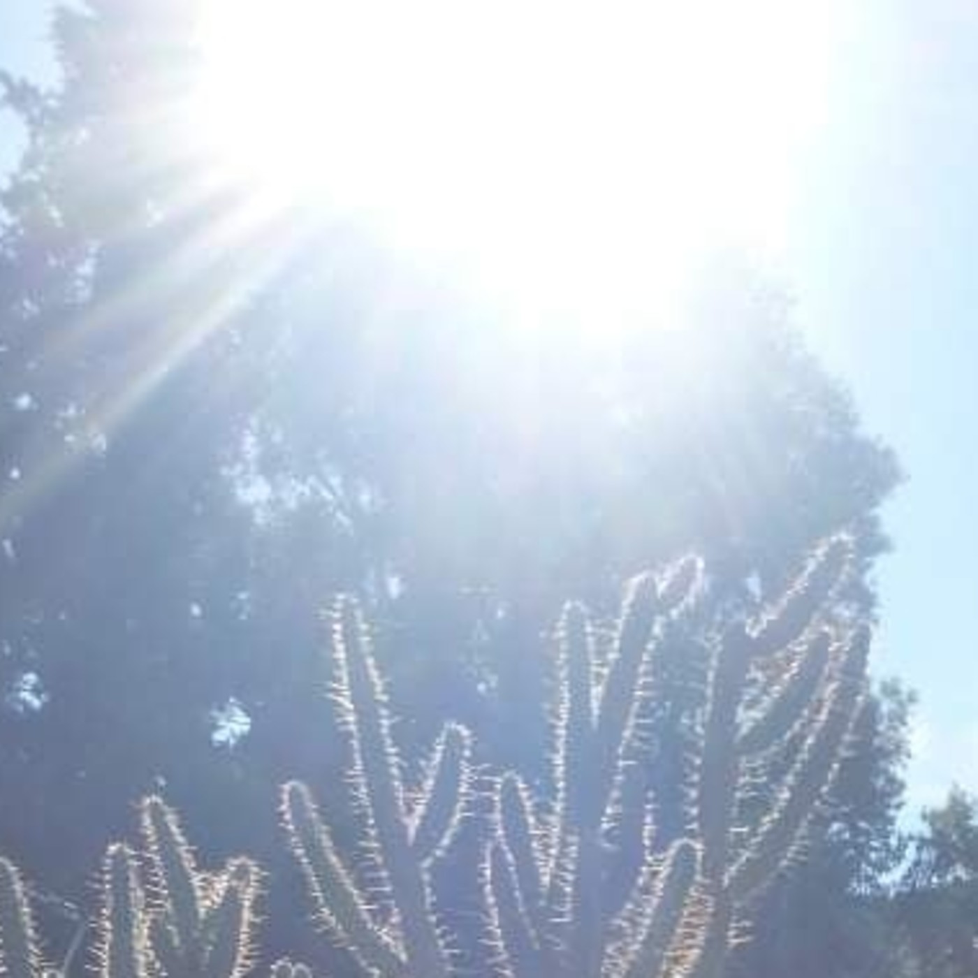 Podcast de La Consciencia y el Cosmos