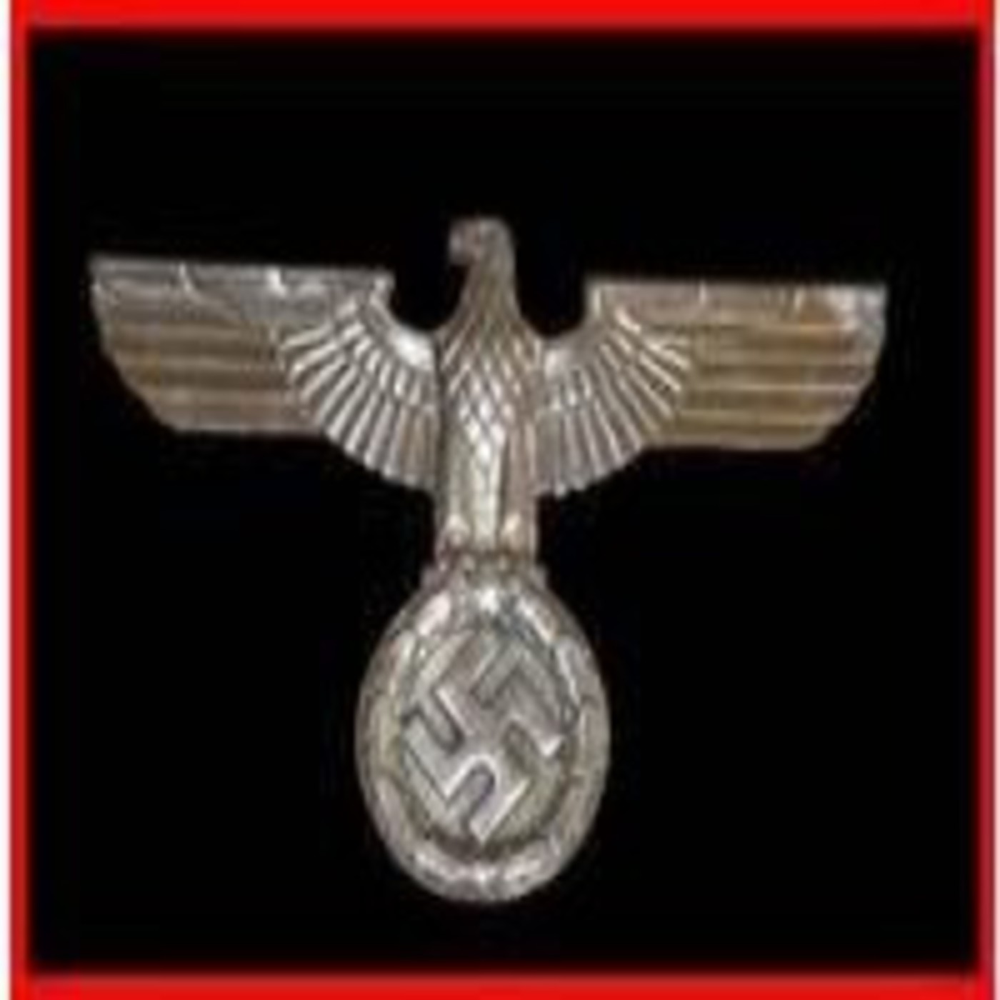 Nazis S.O.S. A la humanidad.Cap 3 - La Guerra Equivocada