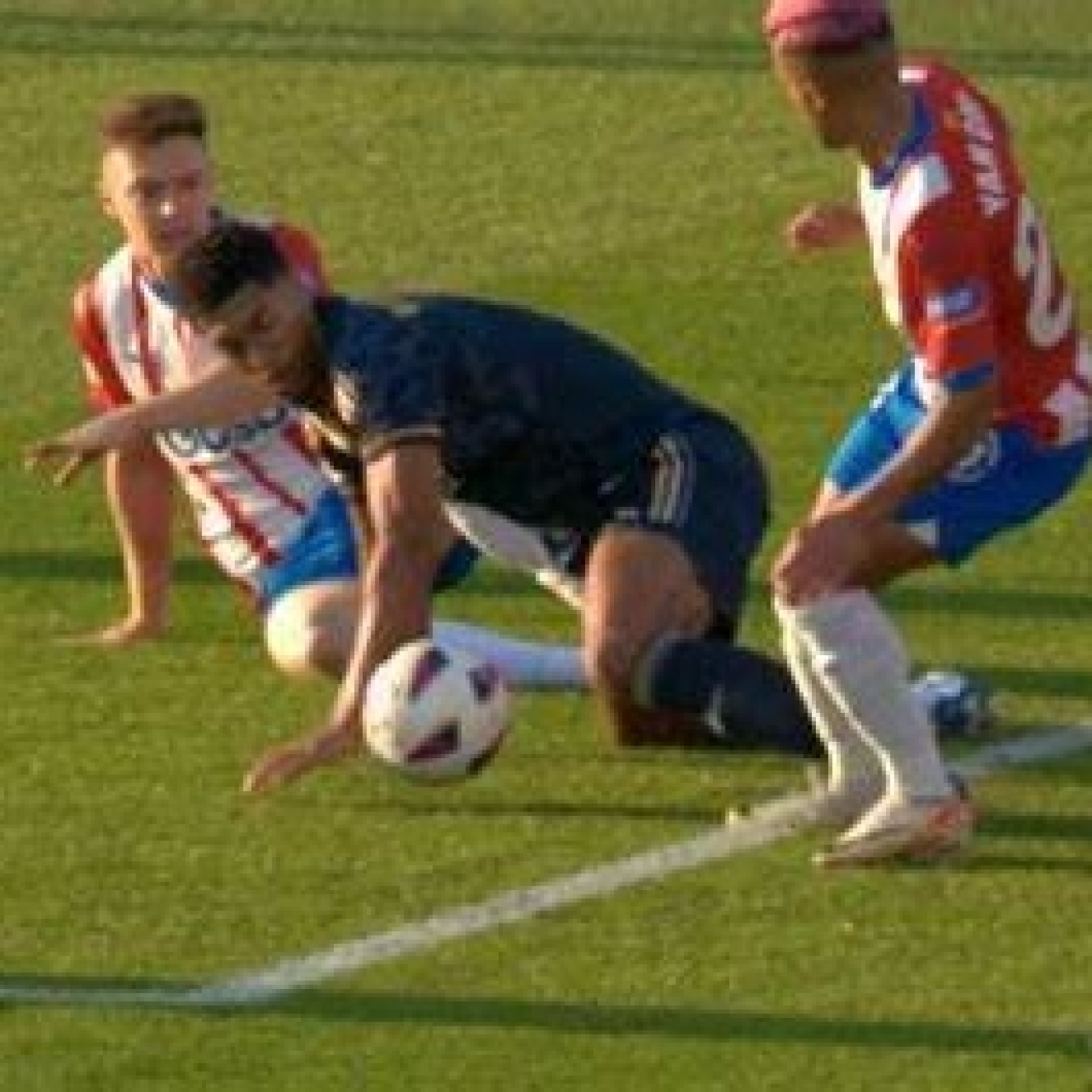Mister Seitán