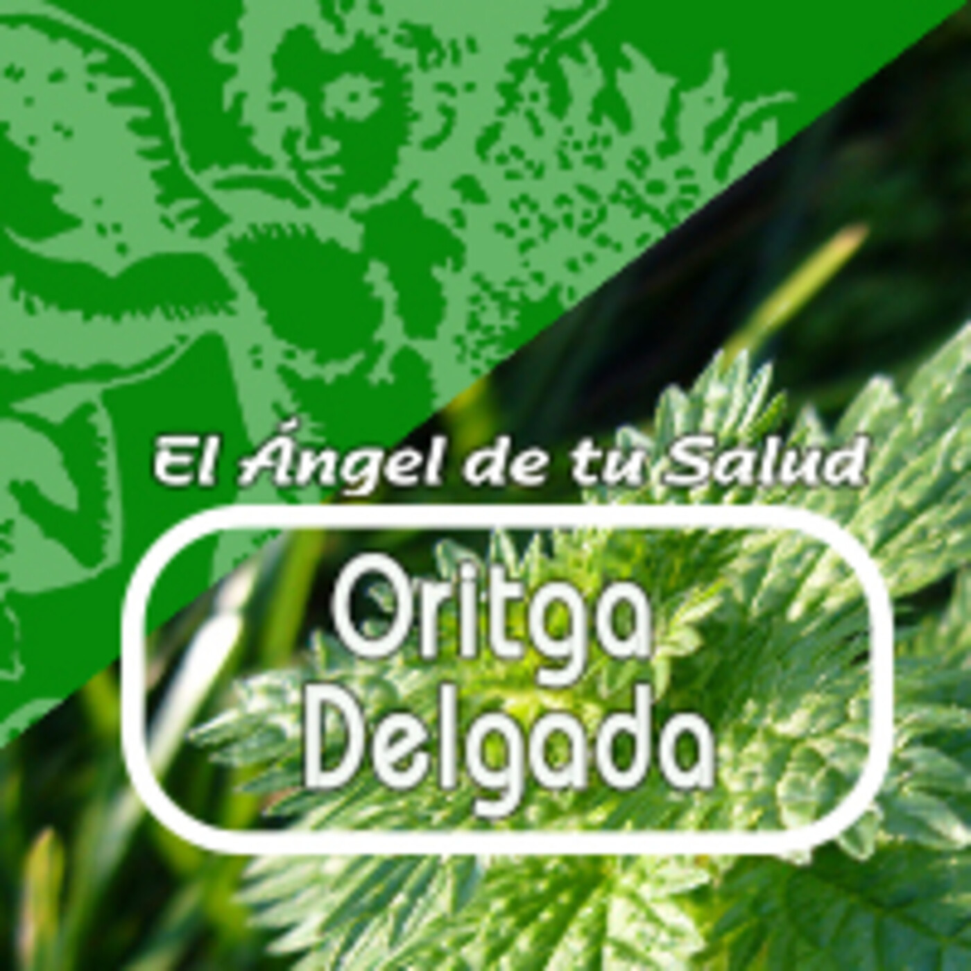 El Ángel de tu Salud - ORTIGA DELGADA* episode artwork
