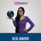 Programa 3 - 2017