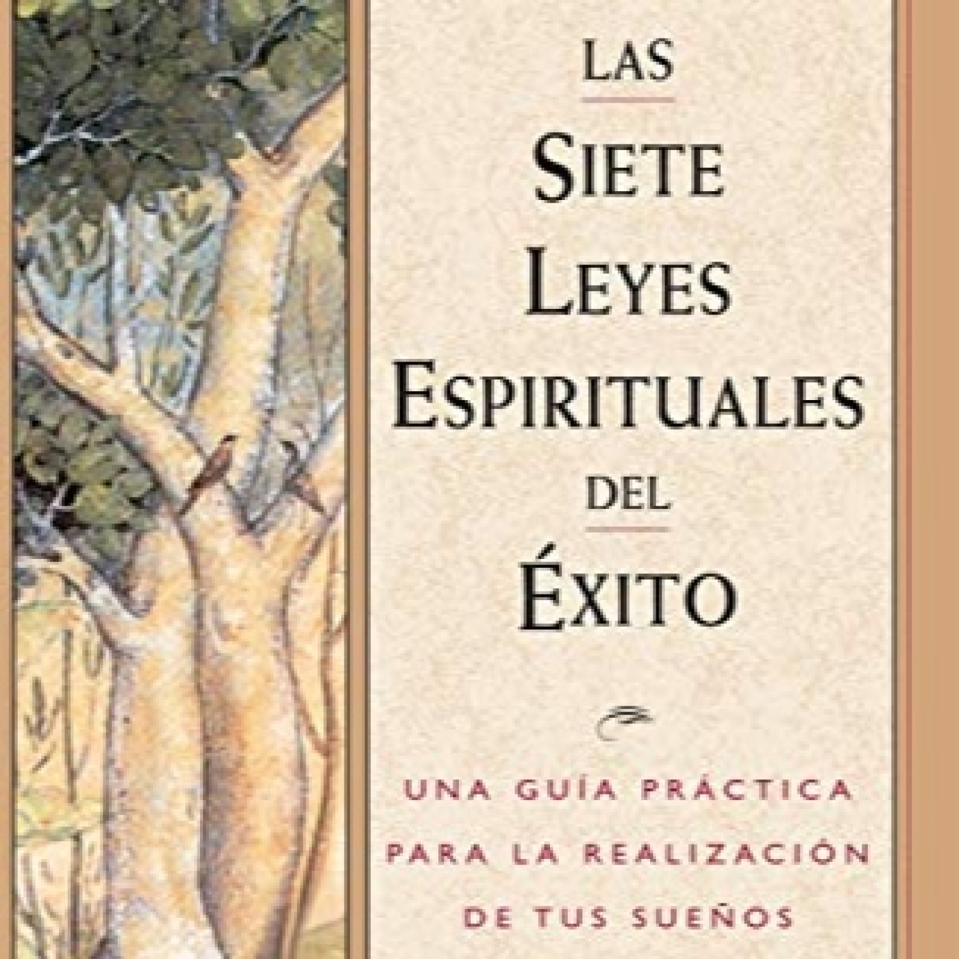 Disfrutando Leyendo