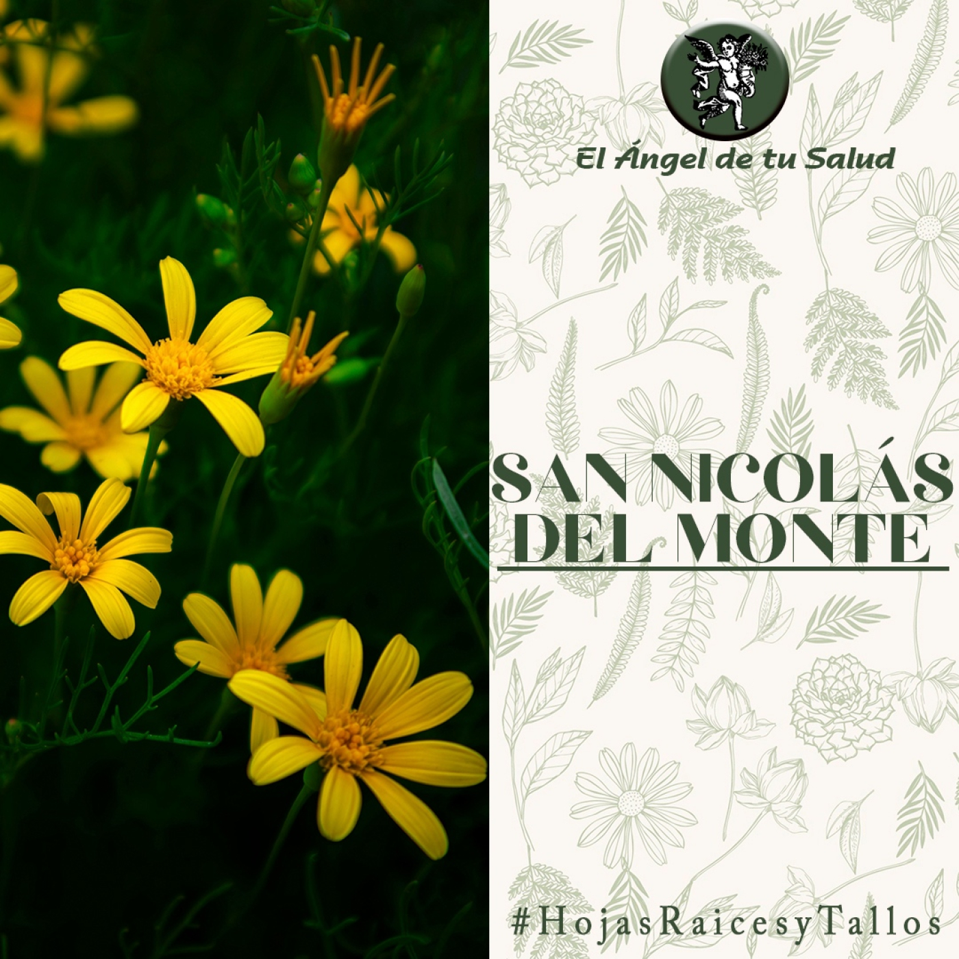 El Ángel de tu Salud - San Nicolás del Monte** episode artwork