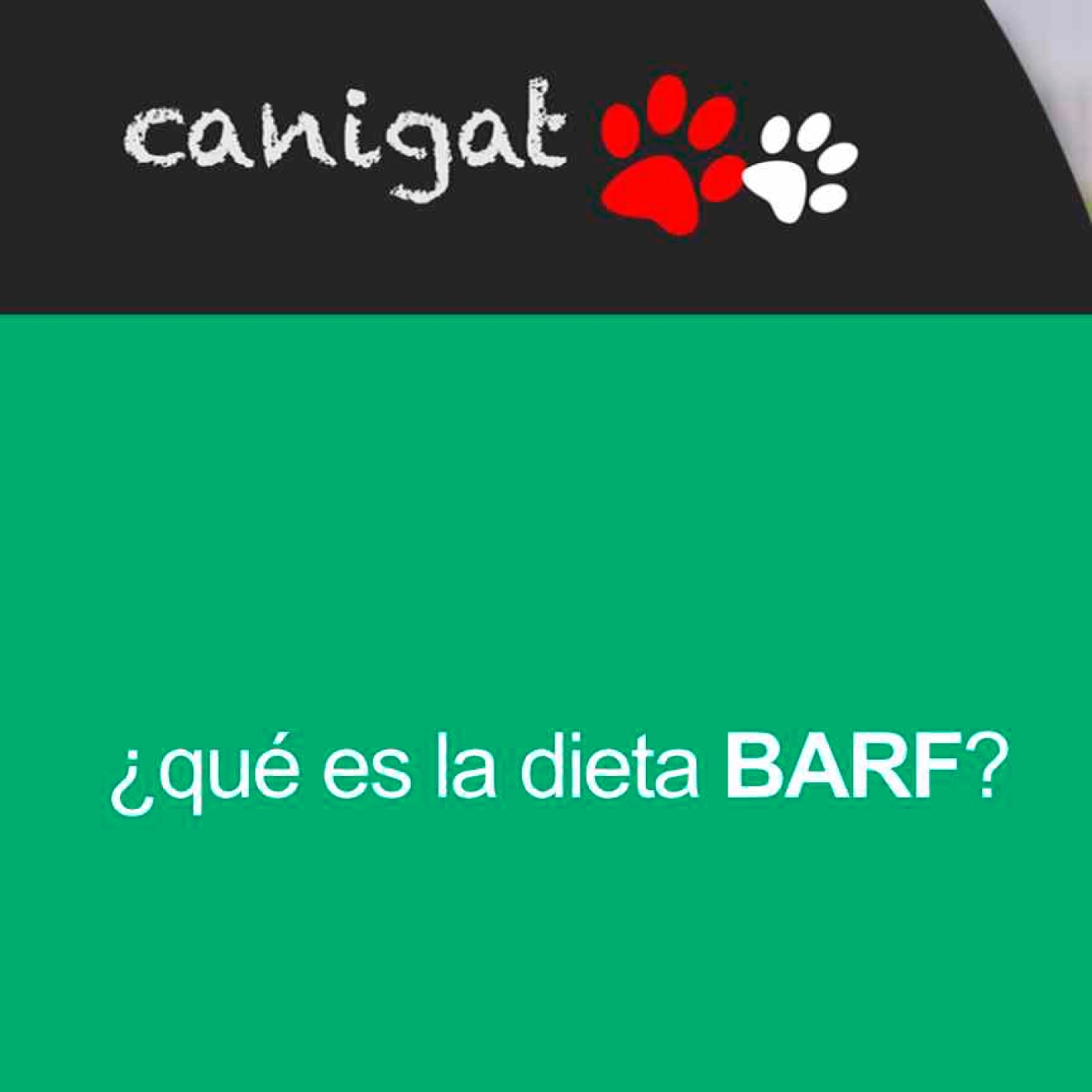 Consejos veterinarios de perros y gatos by canigat