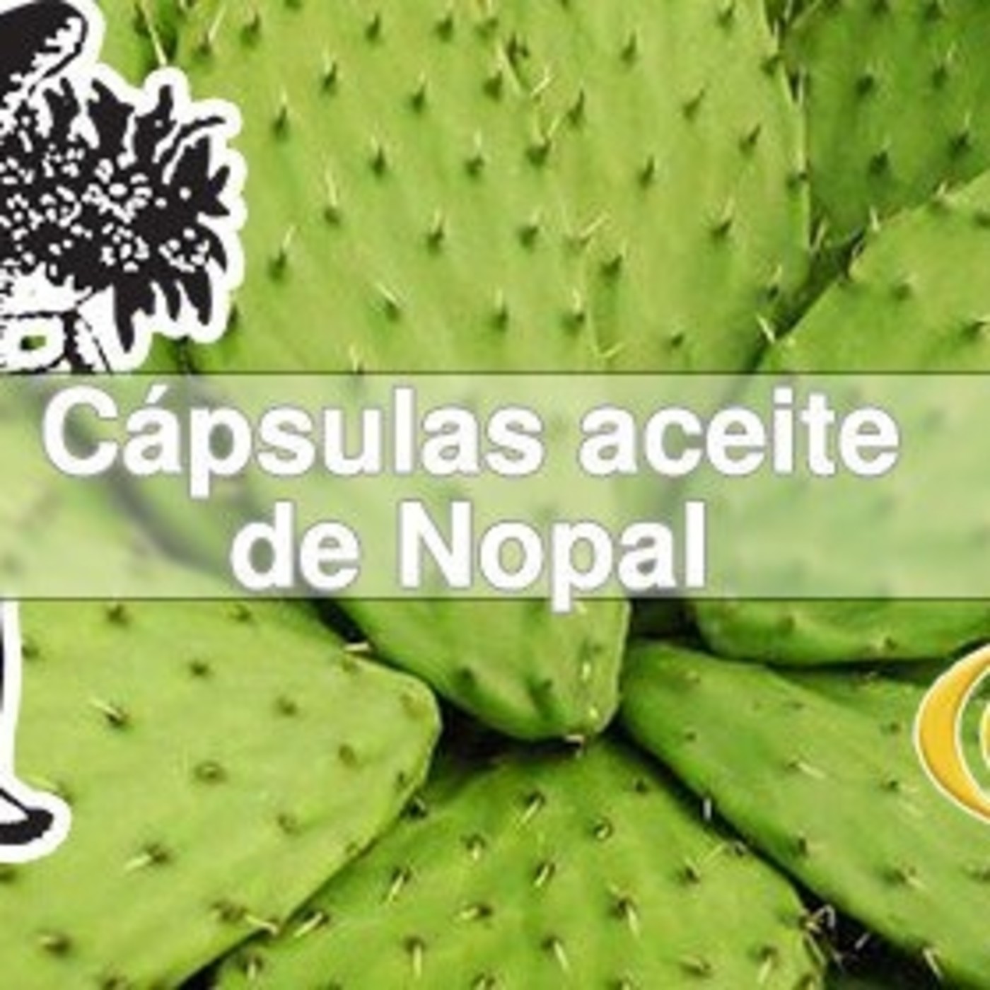 El Ángel de tu Salud - CÁPSULAS DE ACEITE DE NOPAL episode artwork