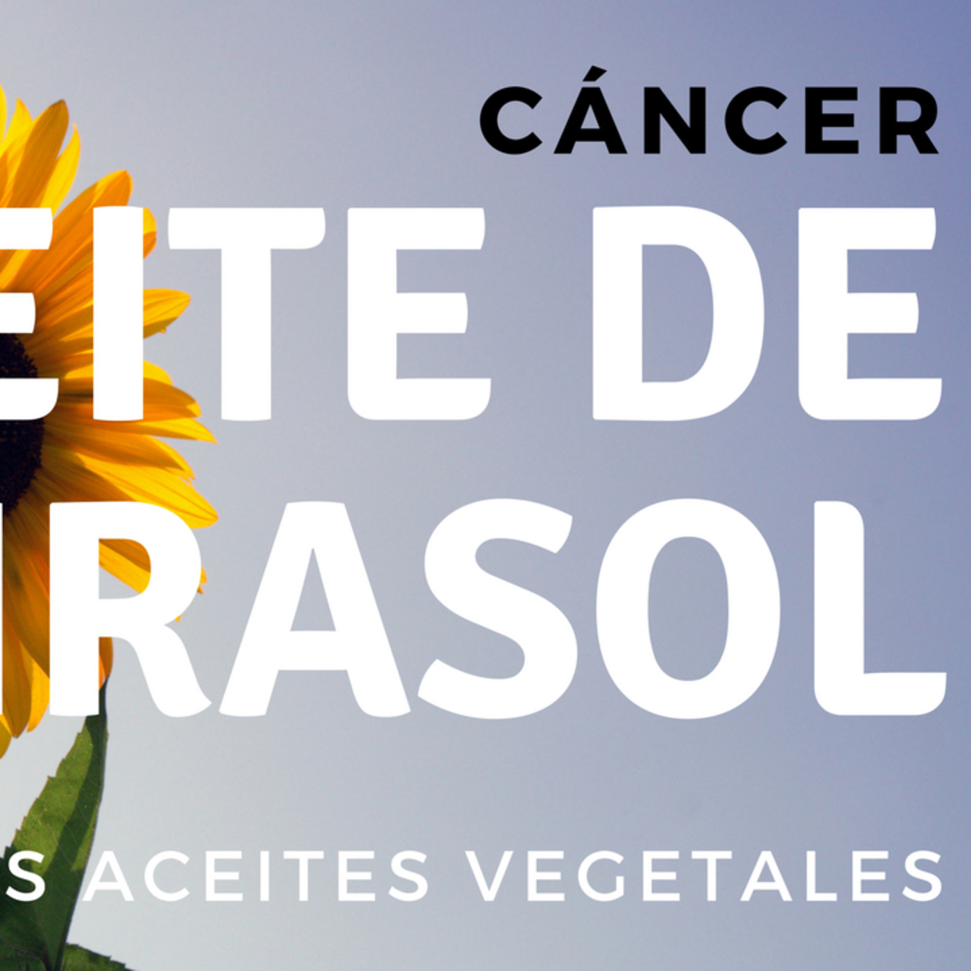 Cocinar con aceite de girasol genera tóxicos cancerígenos - Ep. 317 Cocinar con aceite de girasol genera tóxicos cancerígenos - Ep. 317