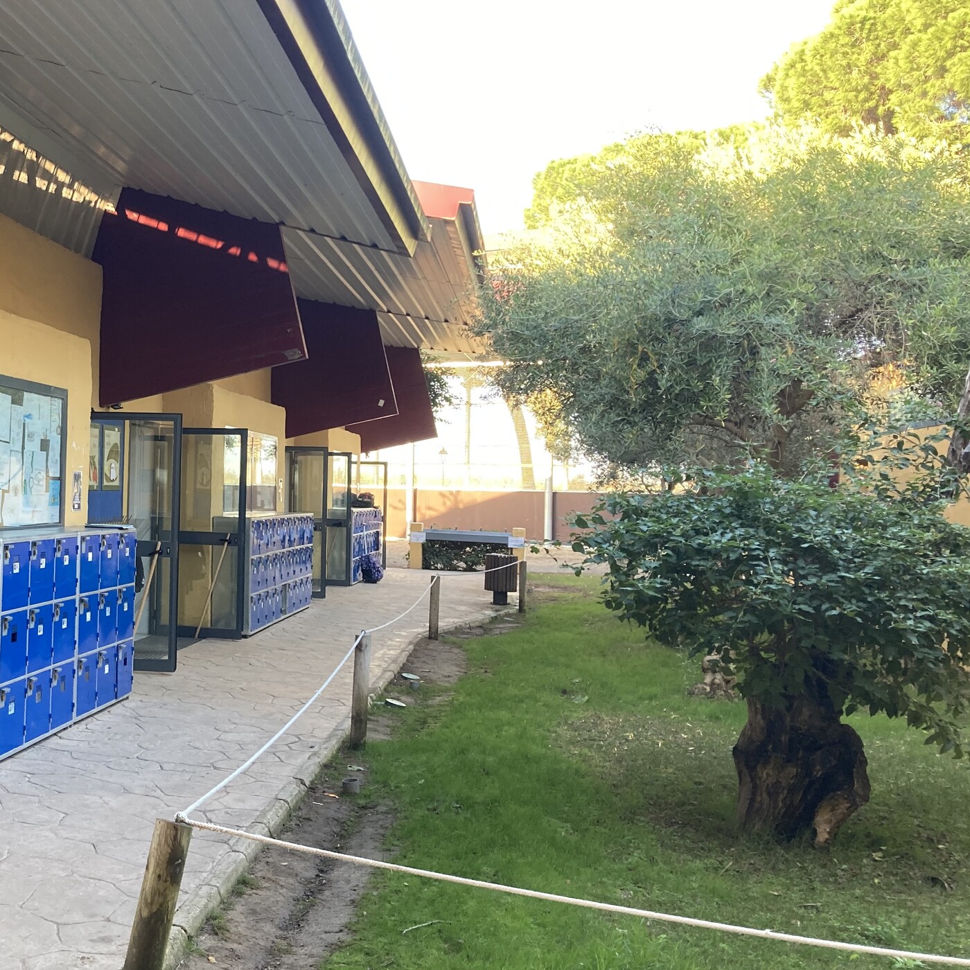 Podcast Colegio Británico de Sevilla