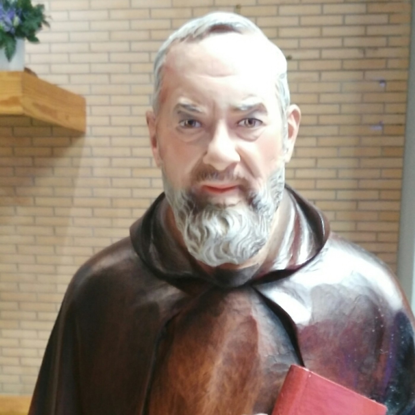 Grupo Oracion Padre Pío Nuestra Señora del Rosario