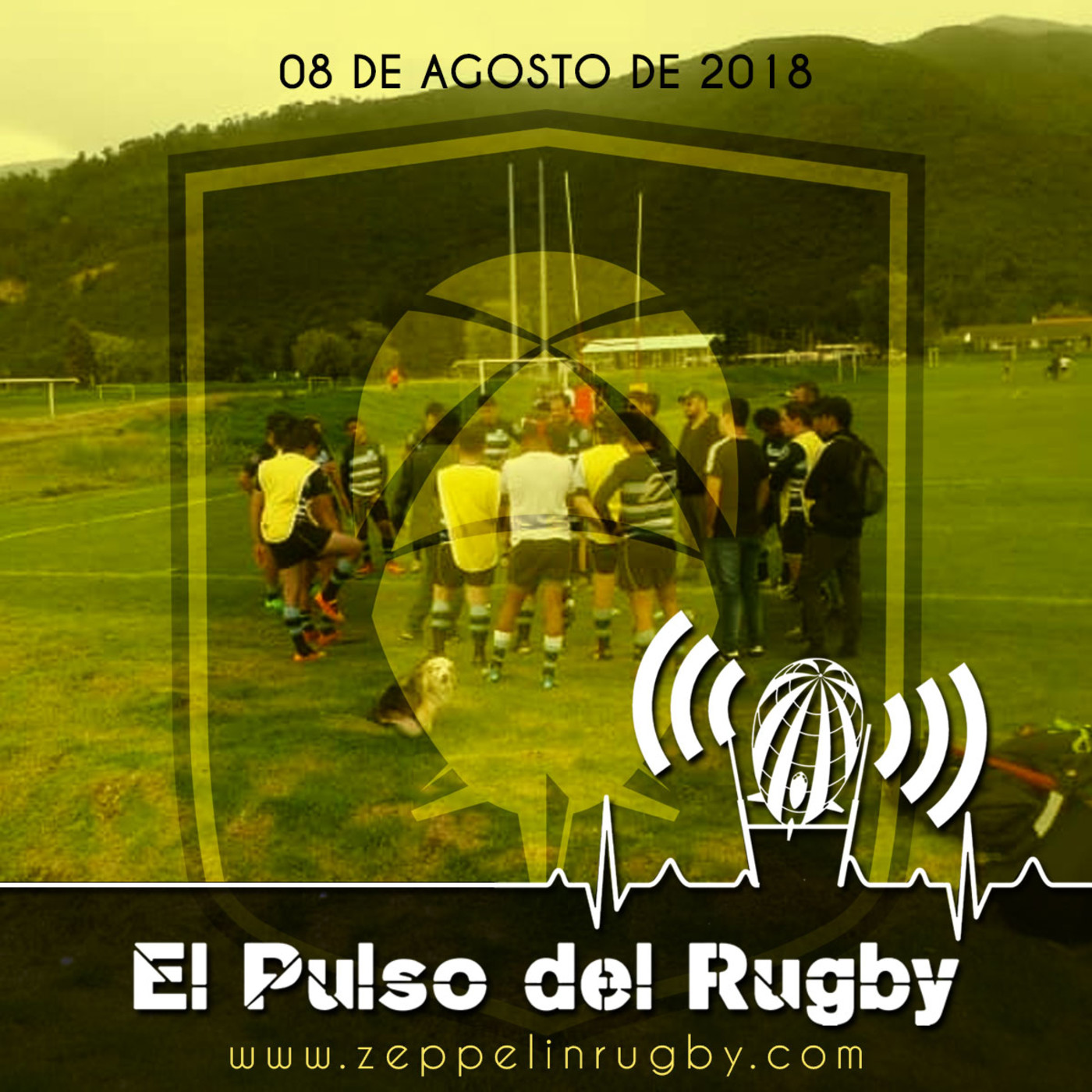 El pulso del rugby