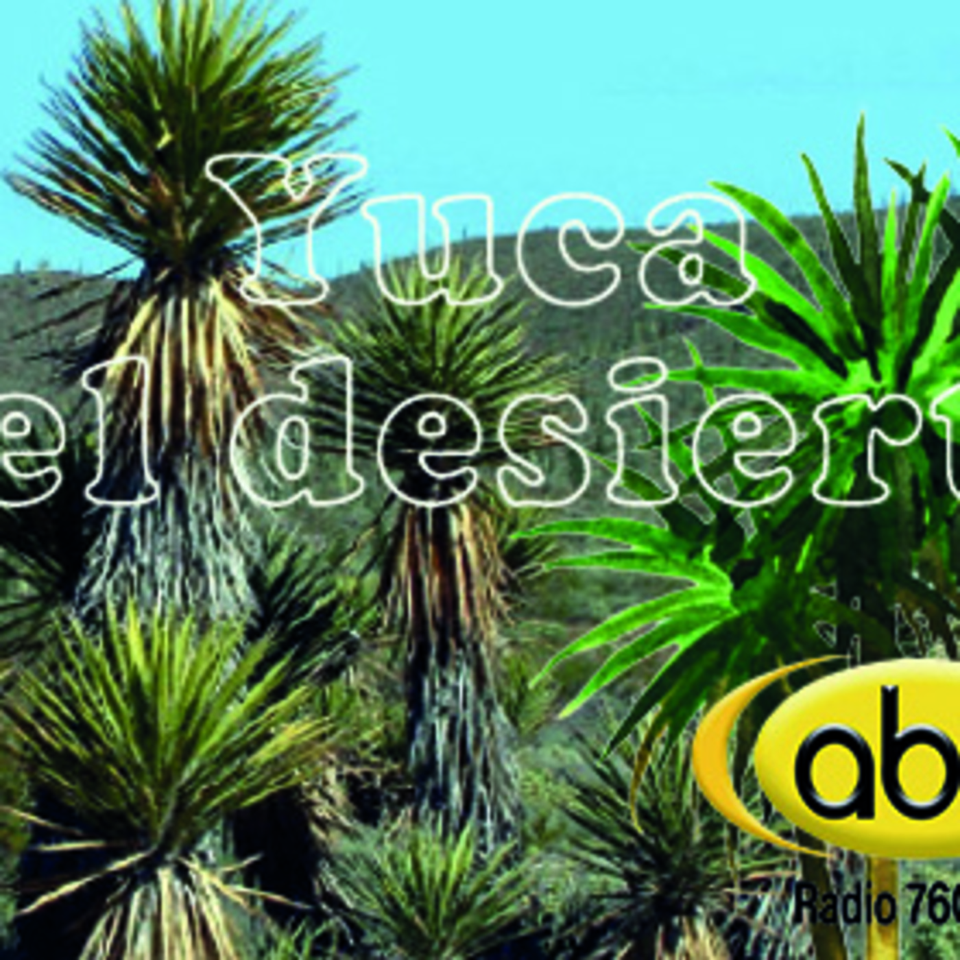 El Angel de tu Salud - YUCA DEL DESIERTO