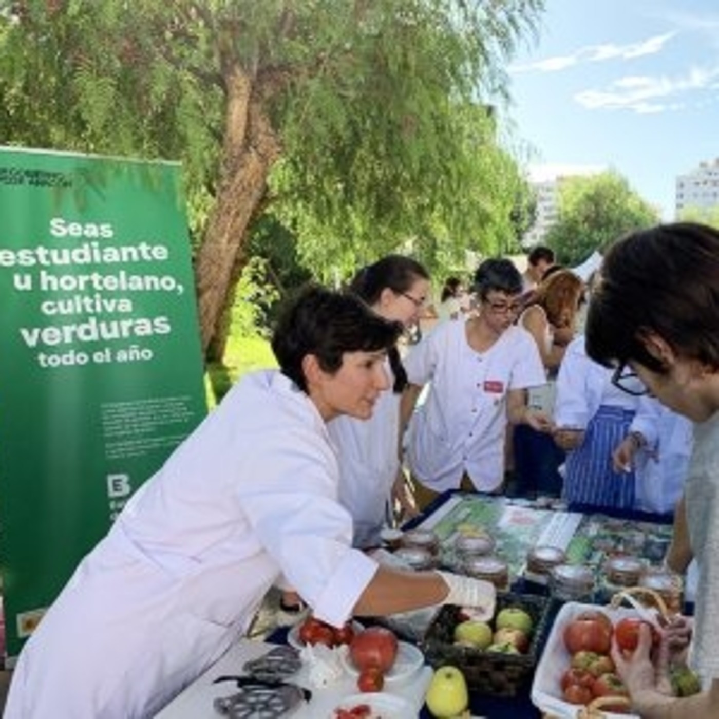 CITA de Aragón: Apariciones en radio