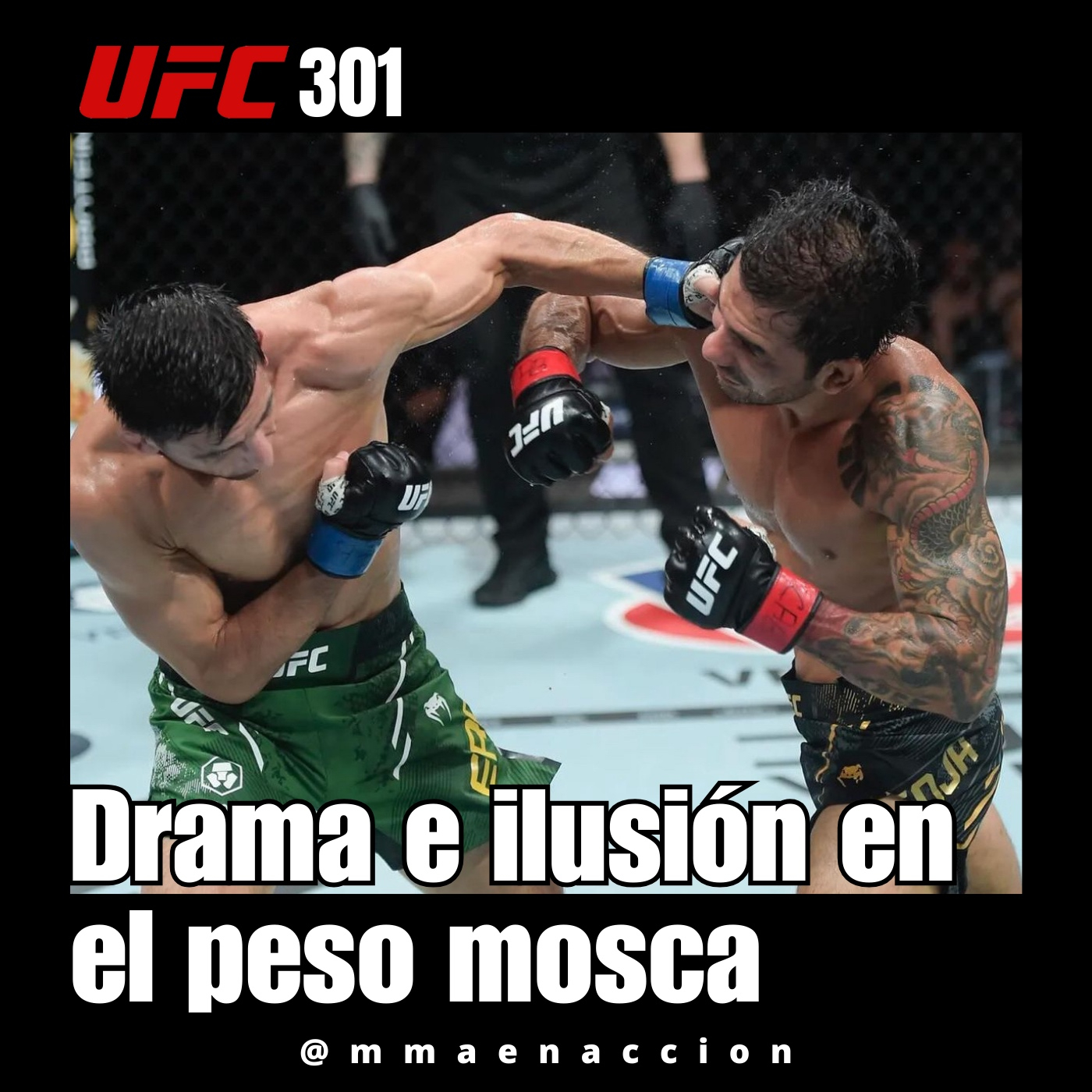MMA en acción