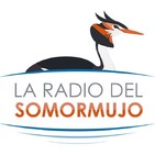 La Radio del Somormujo - Prog 8 3 de noviembre