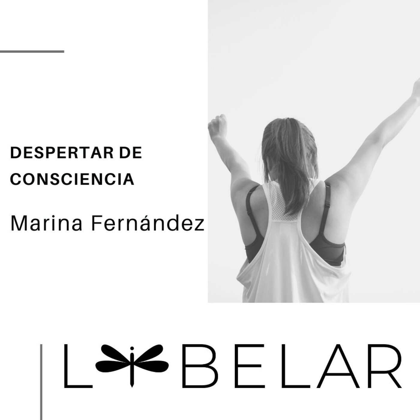 Libelar, vuelan las palabras...