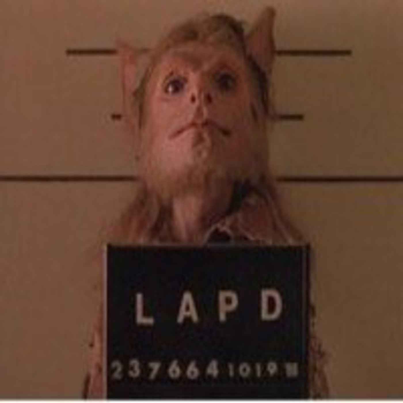 Podcast Alternativa Chusca