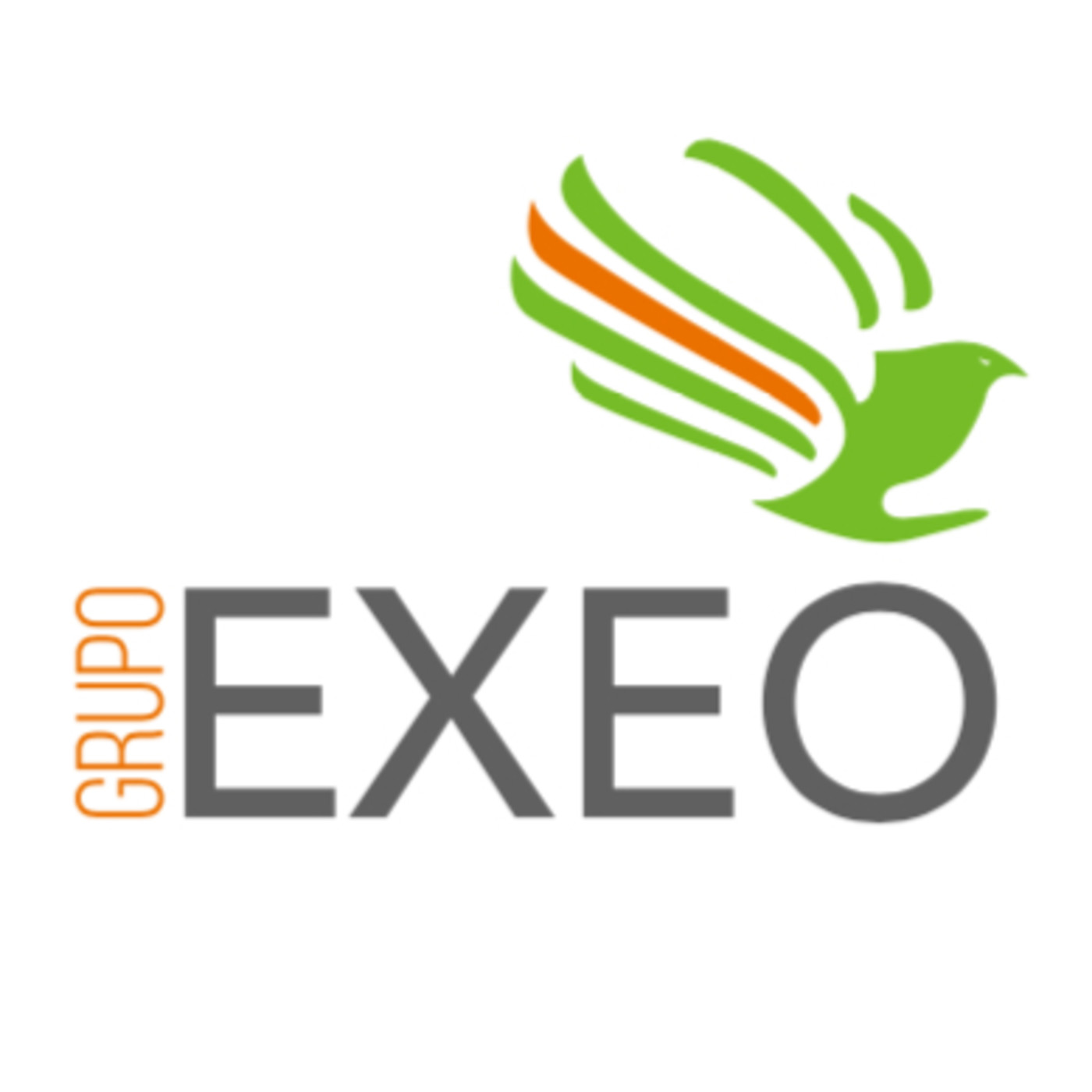 GRUPO EXEO