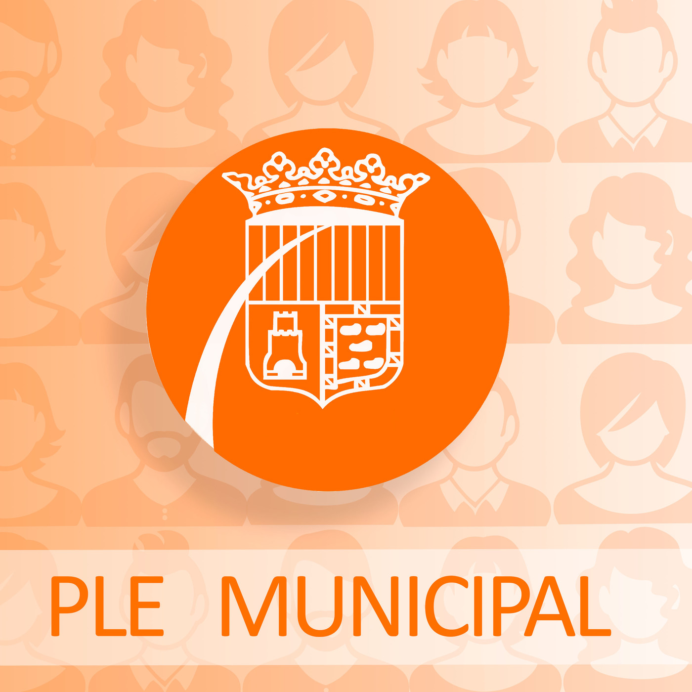 Sessió plenària gener 2021: sense talls episode artwork