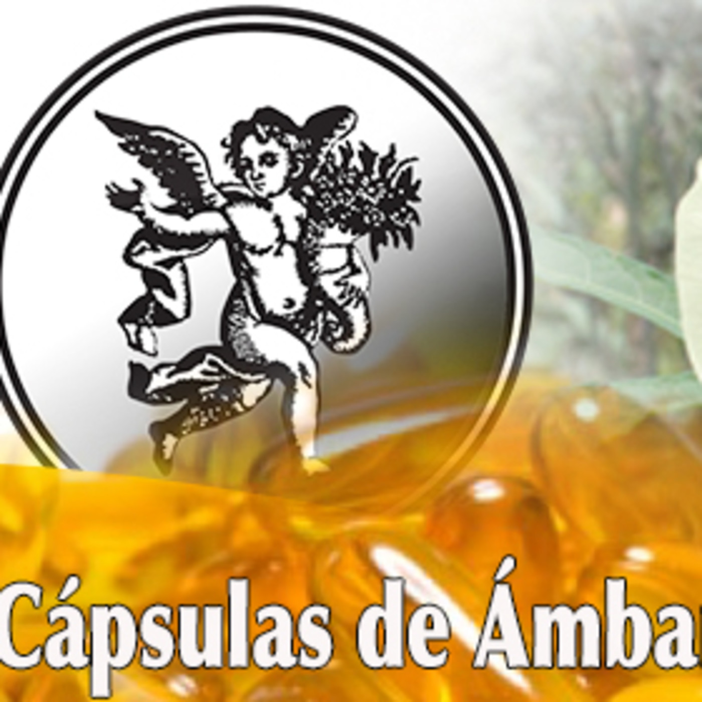 El Ángel de tu Salud - CÁPSULAS DE AMBAR episode artwork