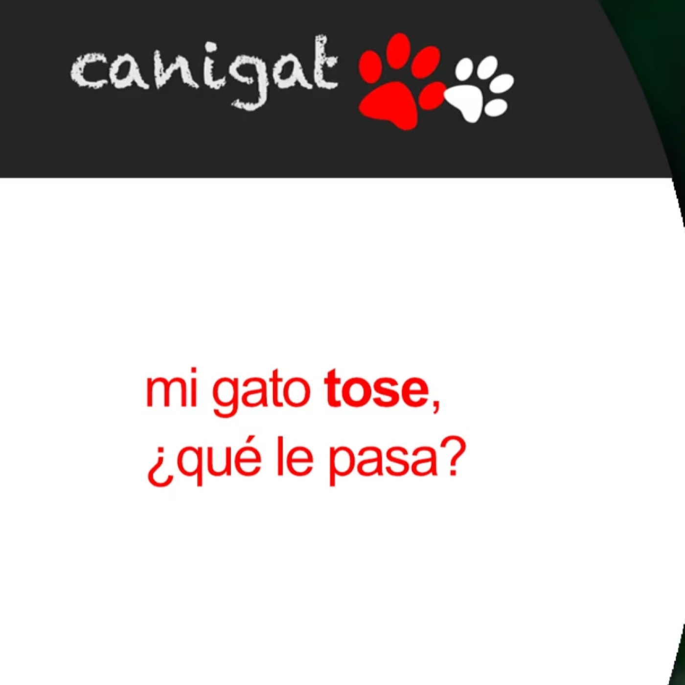 Consejos veterinarios de perros y gatos by canigat
