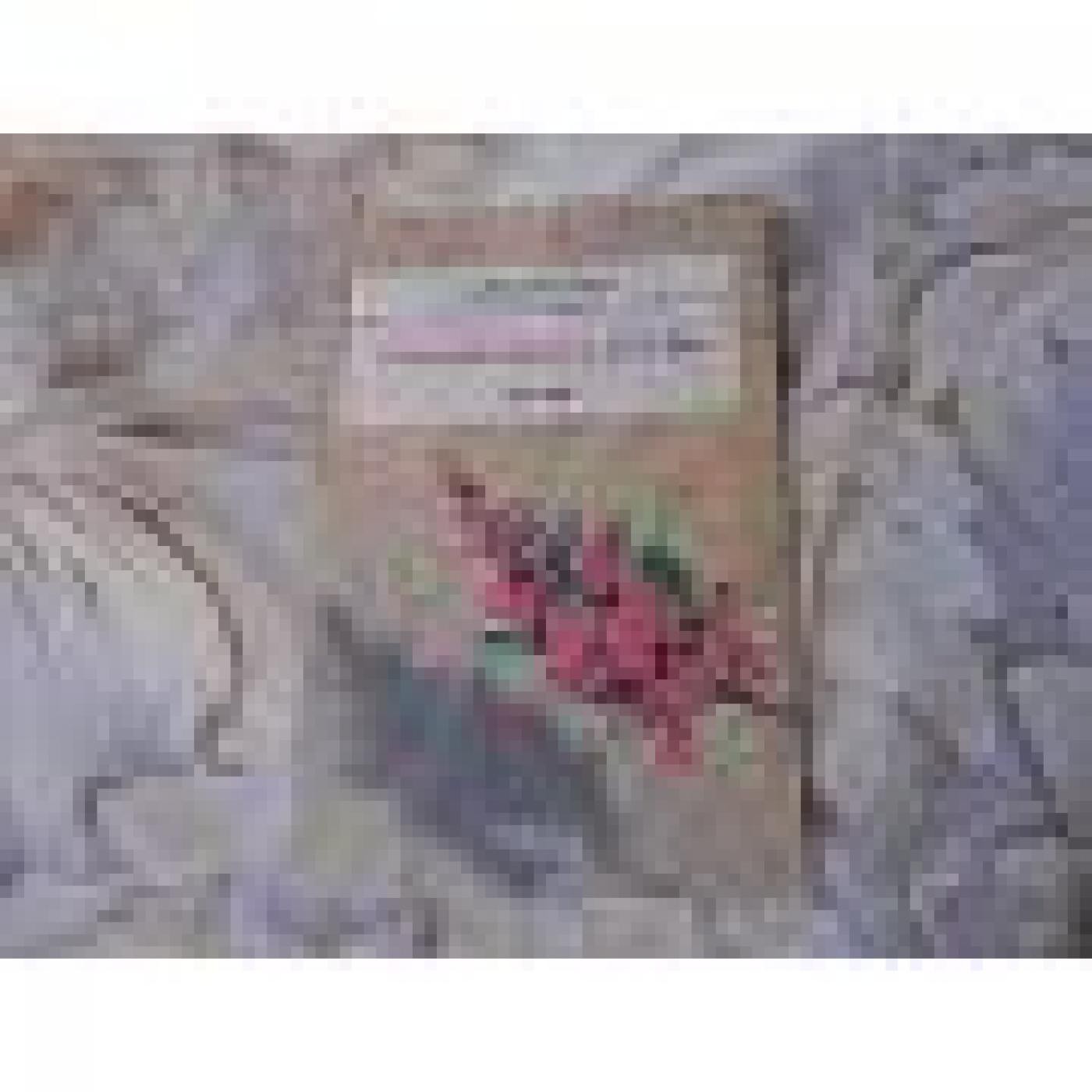 El búho de Minerva FM Feníx 100.3