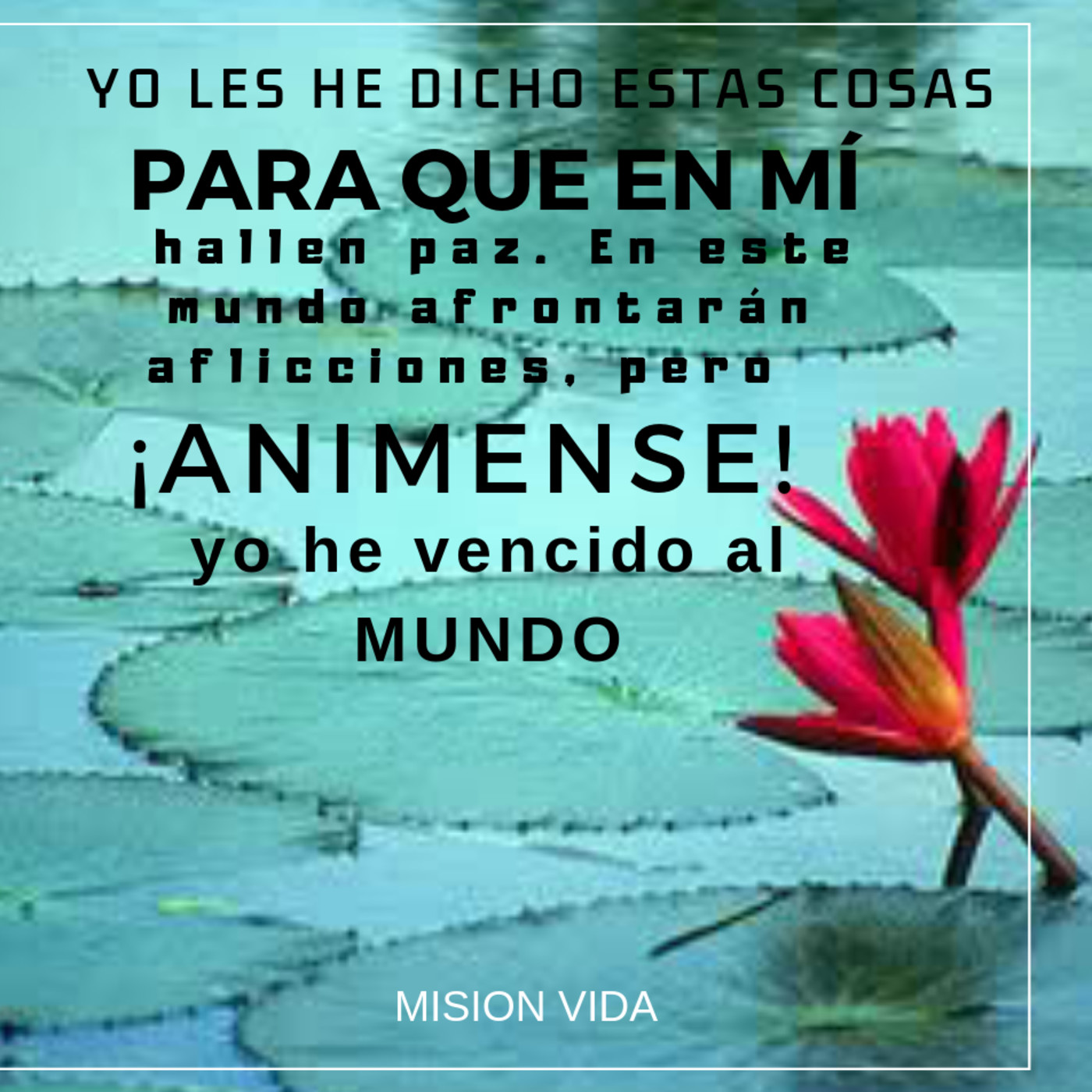 Mensaje al corazón