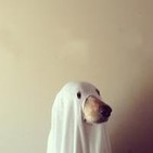 Los otros fantasmas