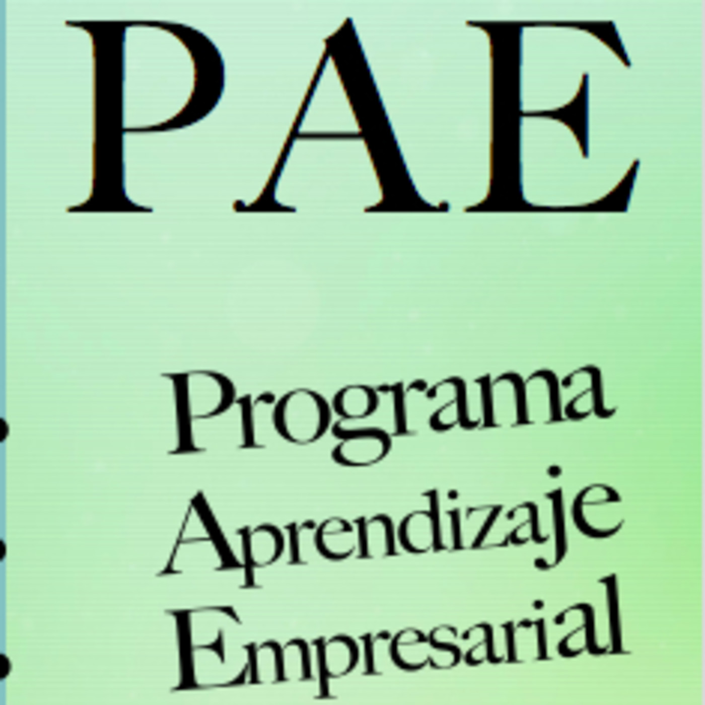 PROGRAMA DE APRENDIZAJE EMPRESARIAL - P.A.E