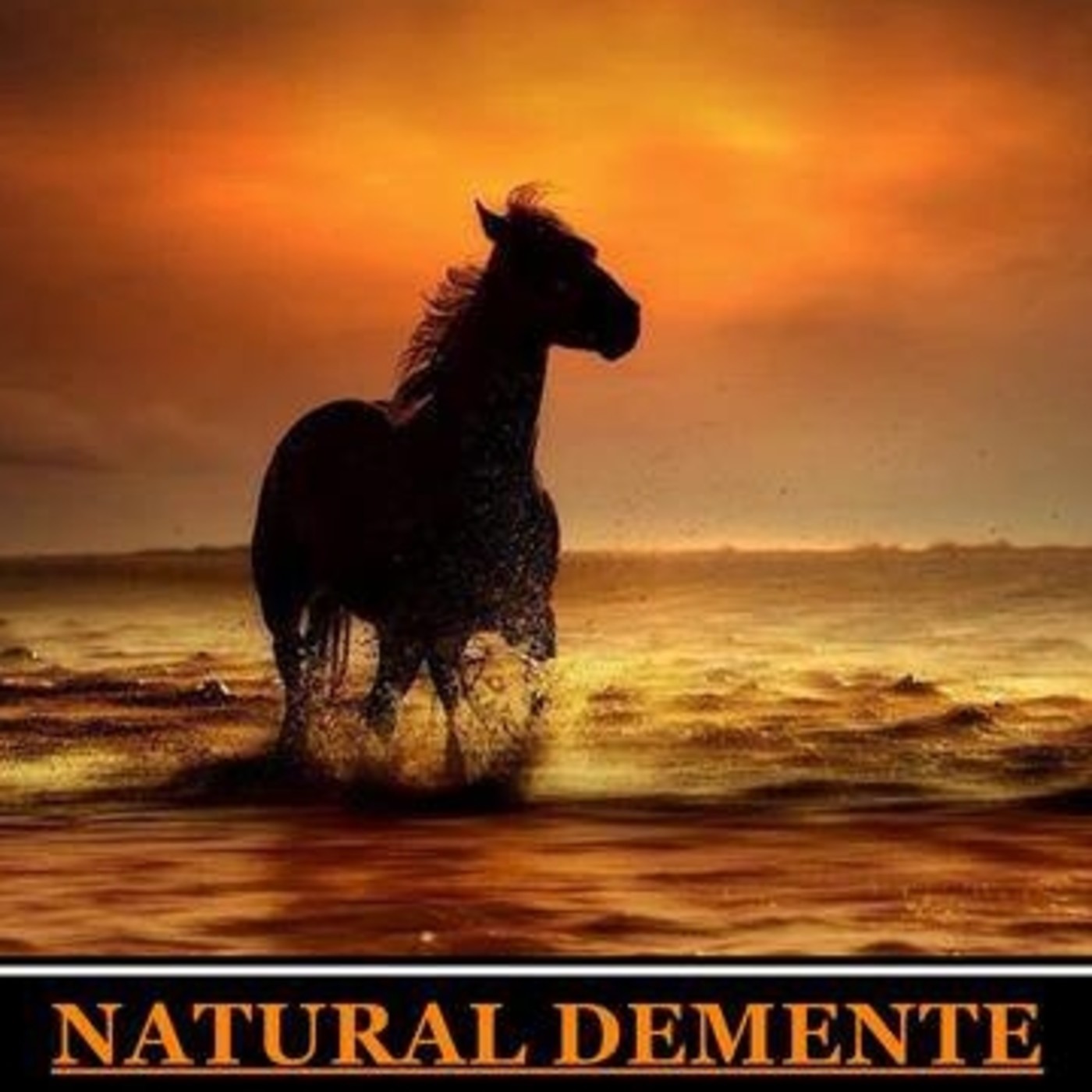 NATURAL DEMENTE