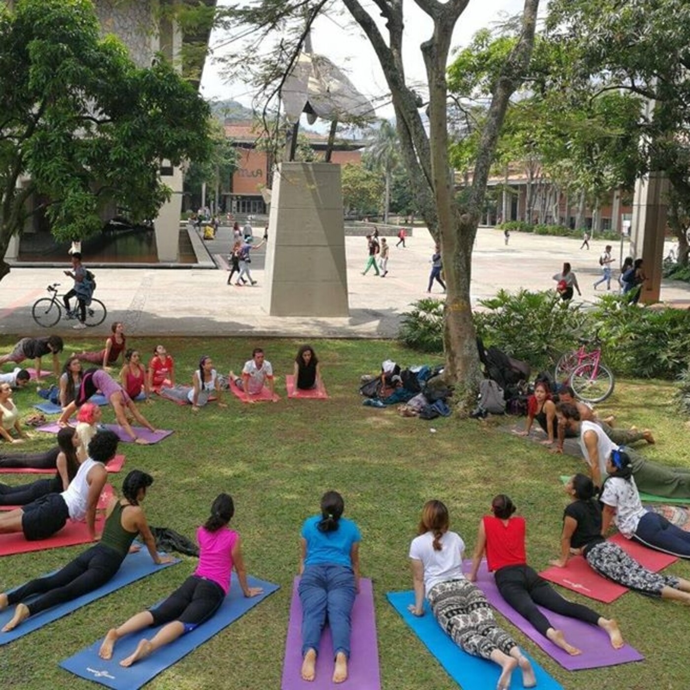 Programa Guia Cultural Univers