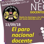 El paro nacional docente - OVEJAS NEGRAS