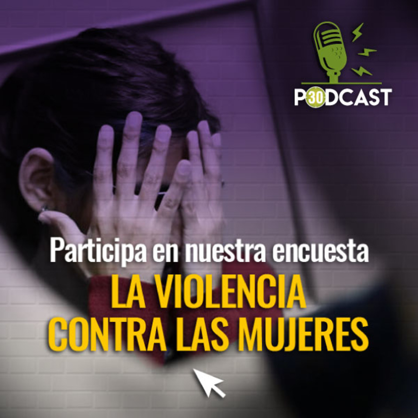 ENCUESTAS DE A PIE
