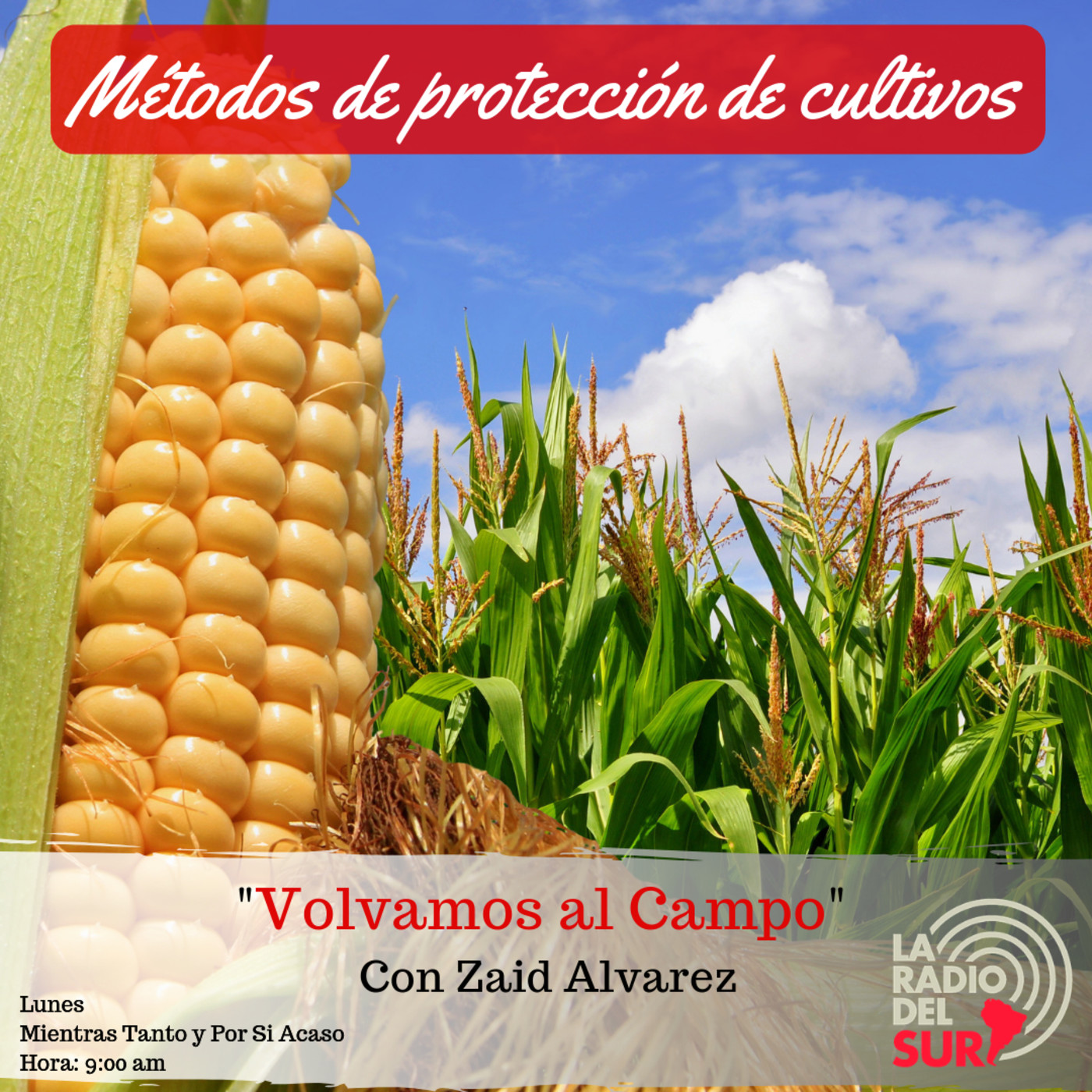 Columna Volvamos al Campo