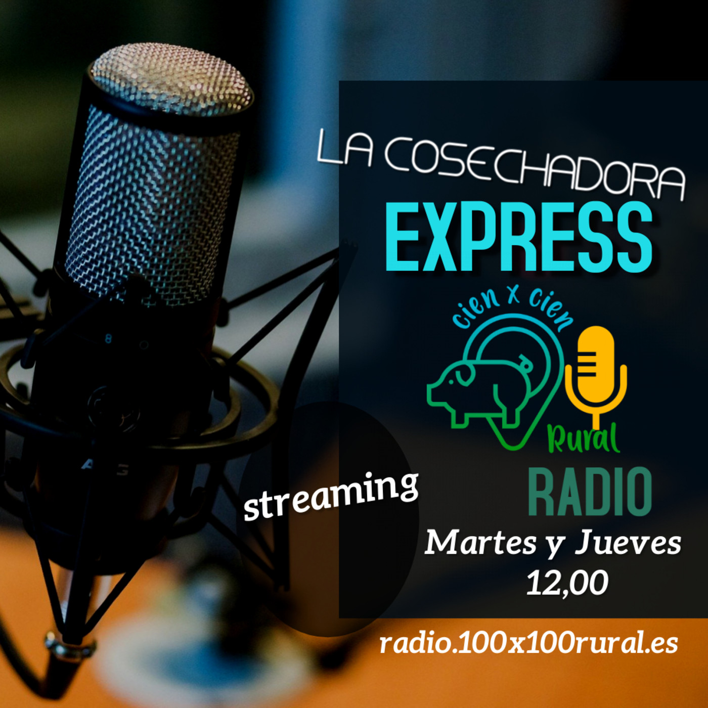 100x100 Rural Radio