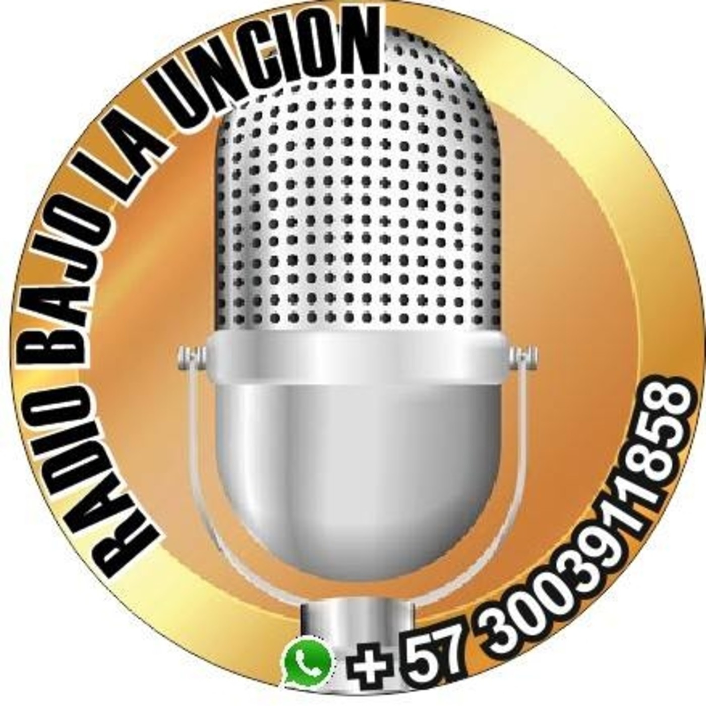 JESUS HERNAN MEDINA MARIÑO