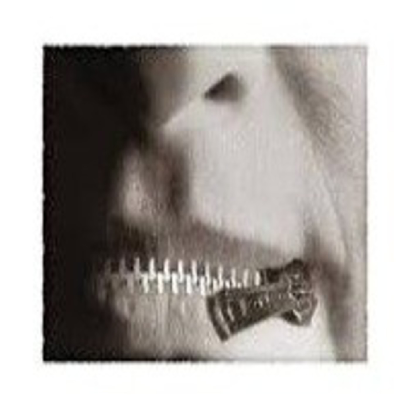 NIDEBAJO DELAGUA- Temporada 2- Prog. 15NOV NIDEBAJO DELAGUA- Temporada 2- Prog. 15NOV