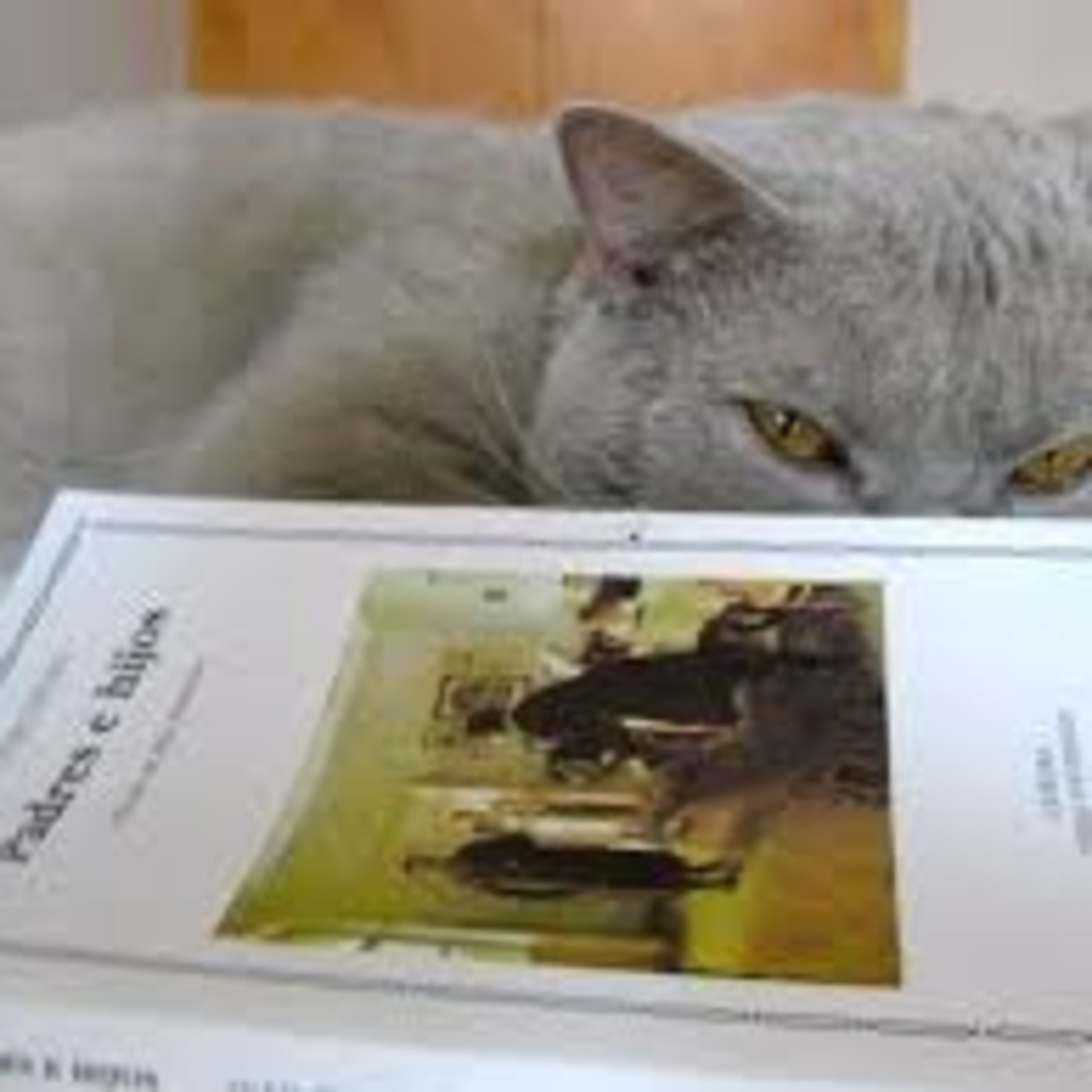 27-11-14 Domingo de Ramos. Europa Europa, Annabel Lee (Poe), Padres e hijos (Turgueniev), los 7 ahorcados (Andreiev)...