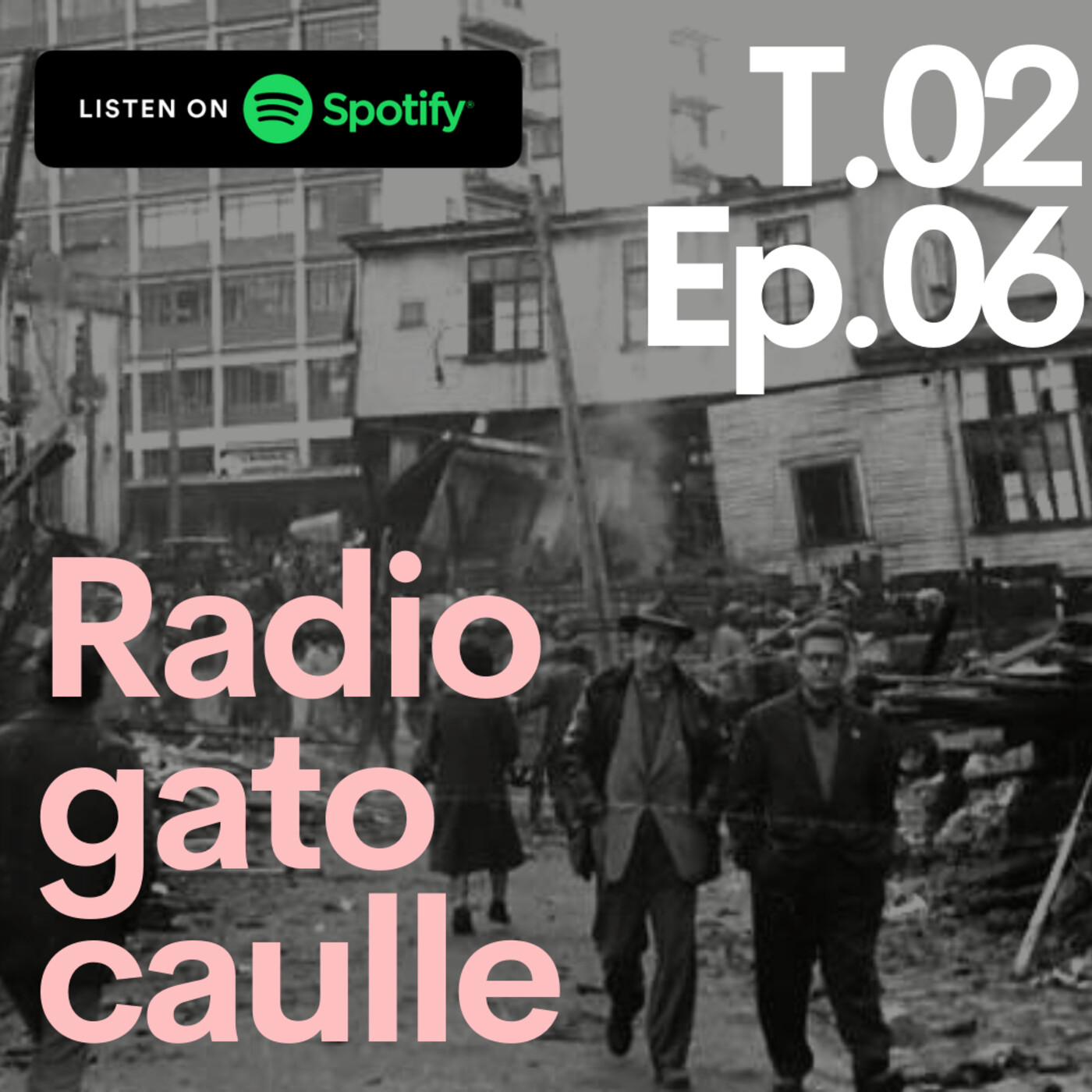 Radio gato Caulle